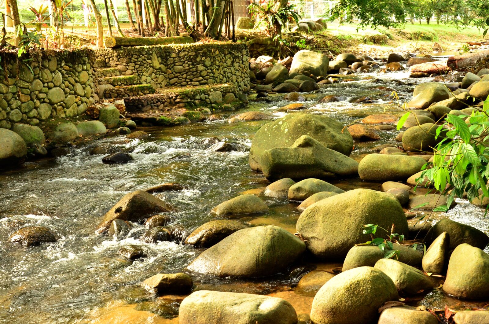 Nikon D7000 sample photo. Tropical, river, stream photography