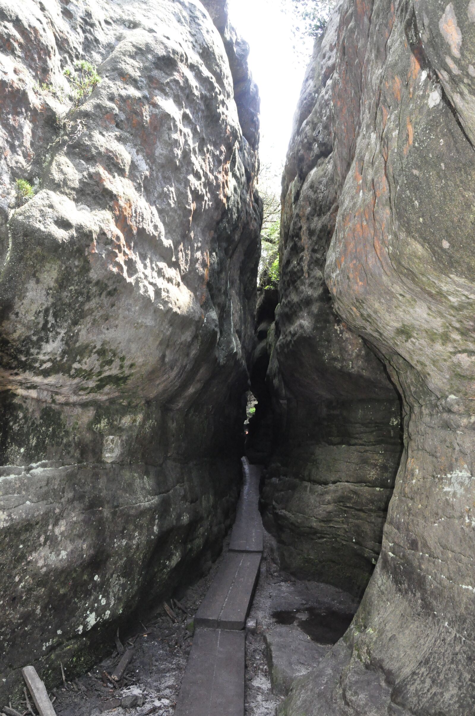Nikon D5000 sample photo. Table mountains, erratic rocks photography