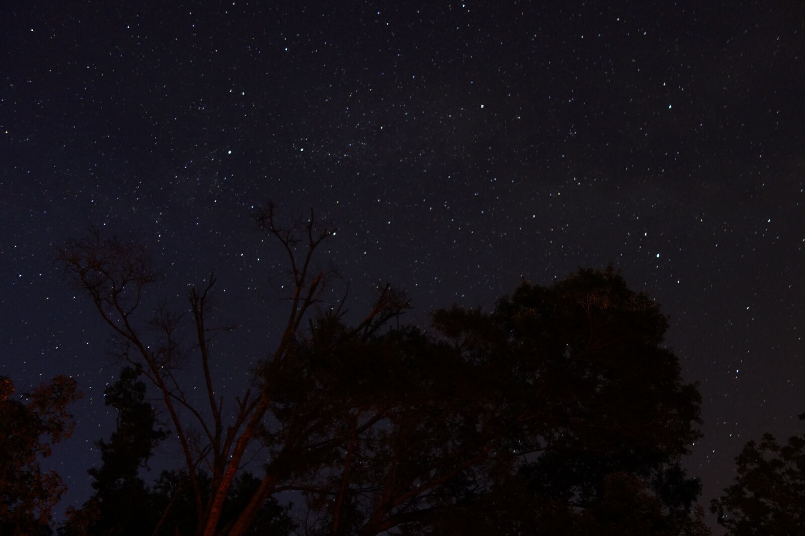 Sony Cyber-shot DSC-RX100 sample photo. Star, sky, night photography