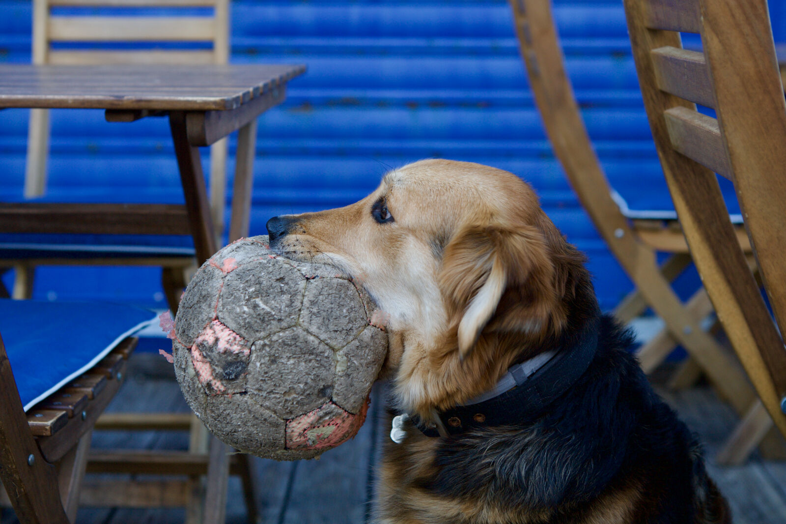 Canon EOS 5D sample photo