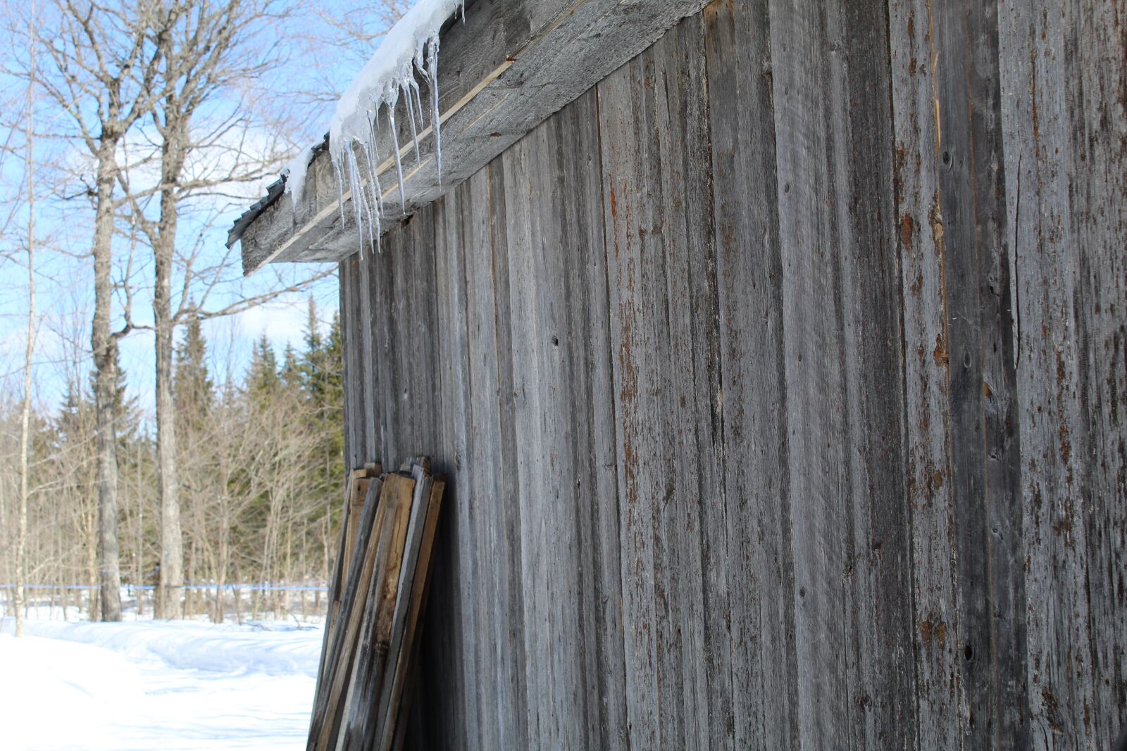 Canon EOS 1300D (EOS Rebel T6 / EOS Kiss X80) sample photo. Man, hut sugar, work photography