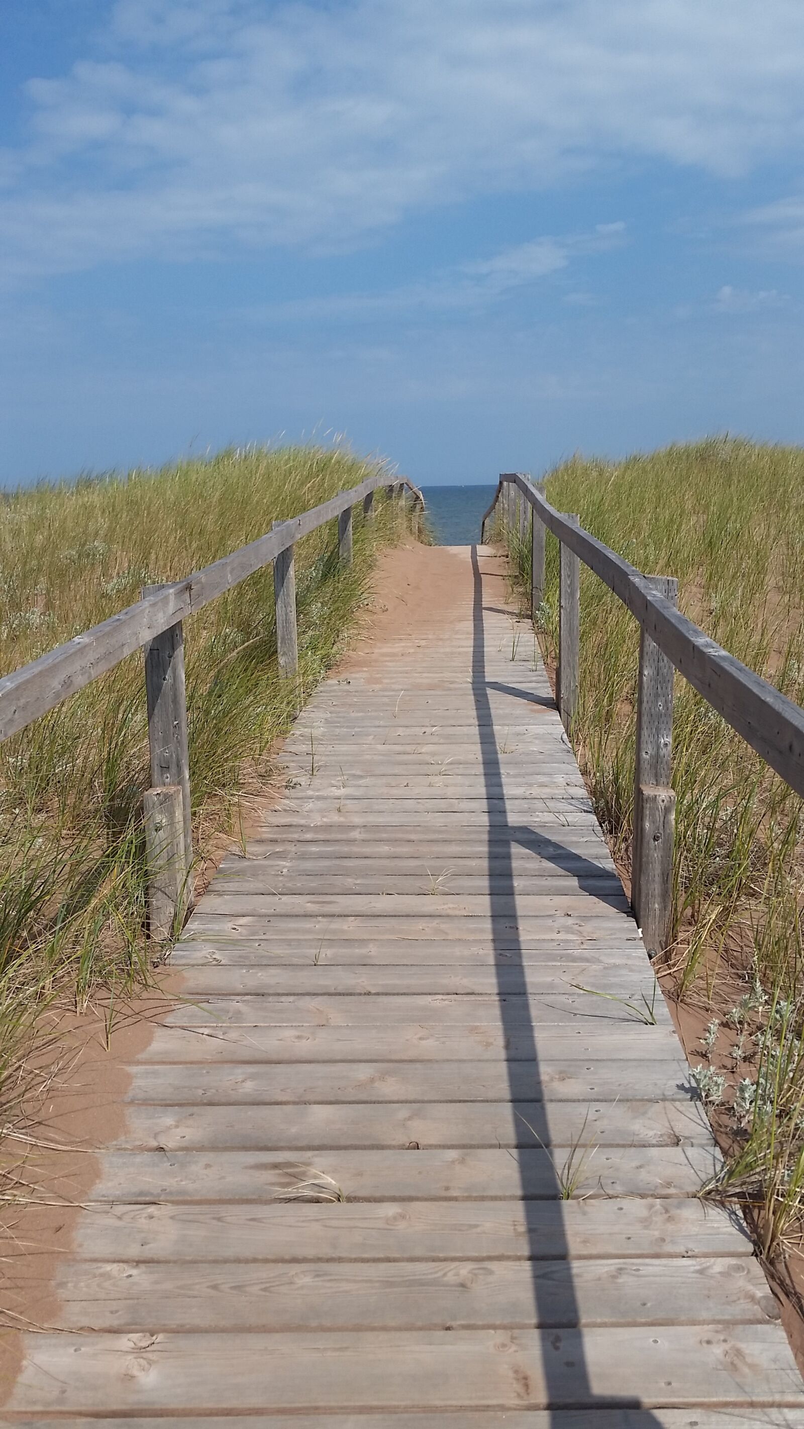 Samsung Galaxy S5 sample photo. Walkway, bridge, coastal photography