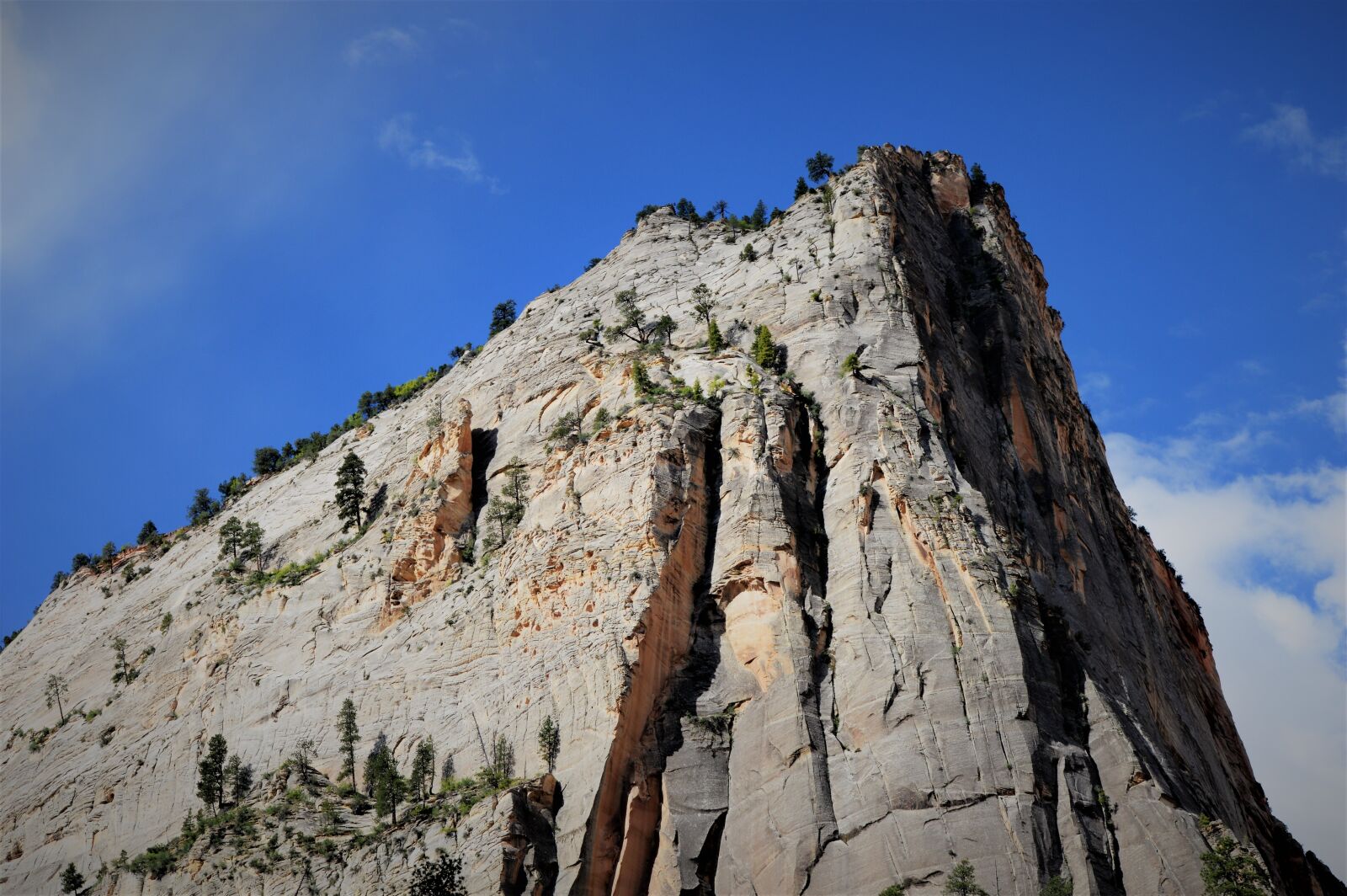 Nikon D3200 sample photo. Zion, national park, landscape photography