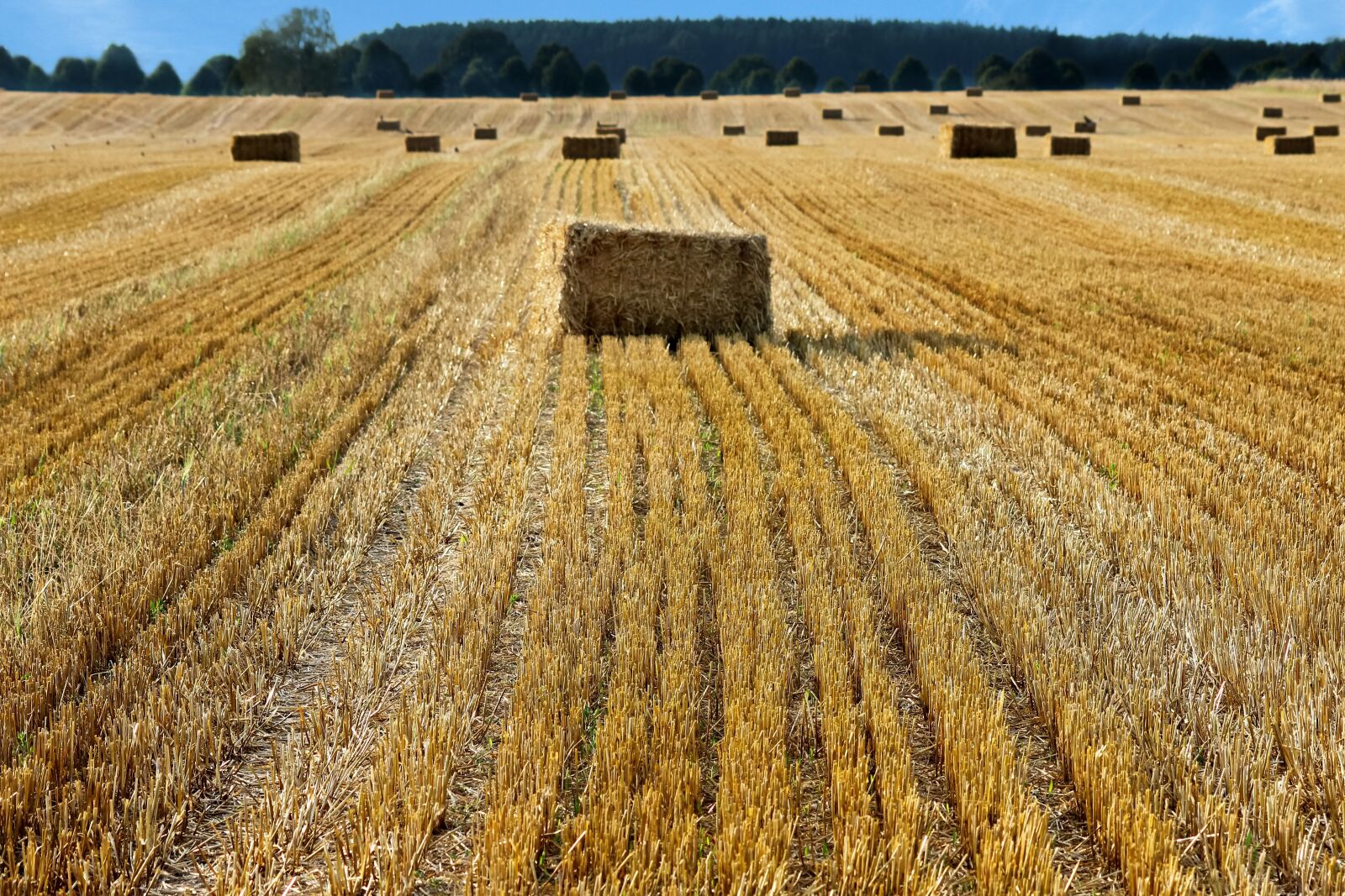 Canon EOS 600D (Rebel EOS T3i / EOS Kiss X5) sample photo. Field, arable, stop lacker photography