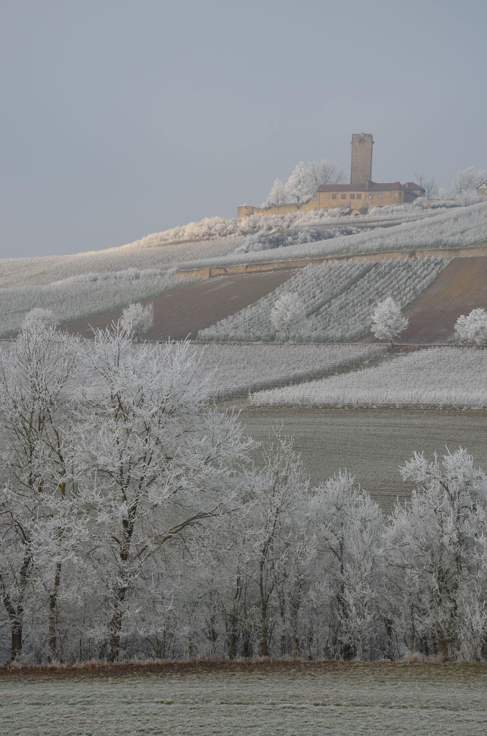 Nikon D5100 sample photo. Ravensburg, winter, sulzfeld photography