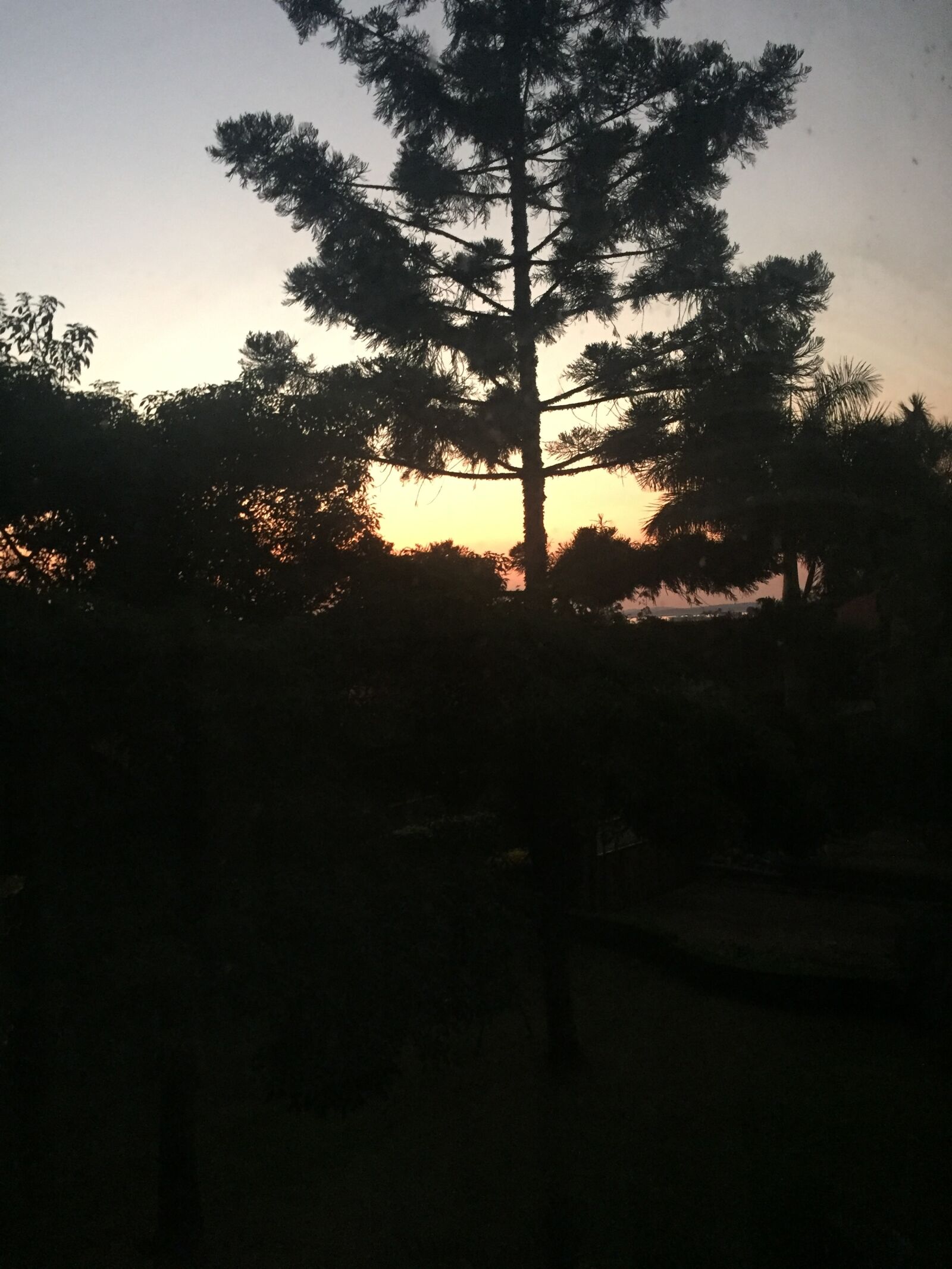Apple iPhone 6 sample photo