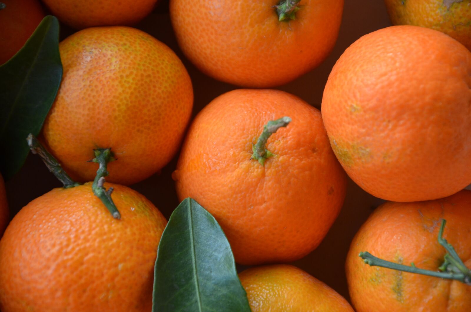 Nikon D7000 sample photo. Mandarins, citrus fruits, orange photography