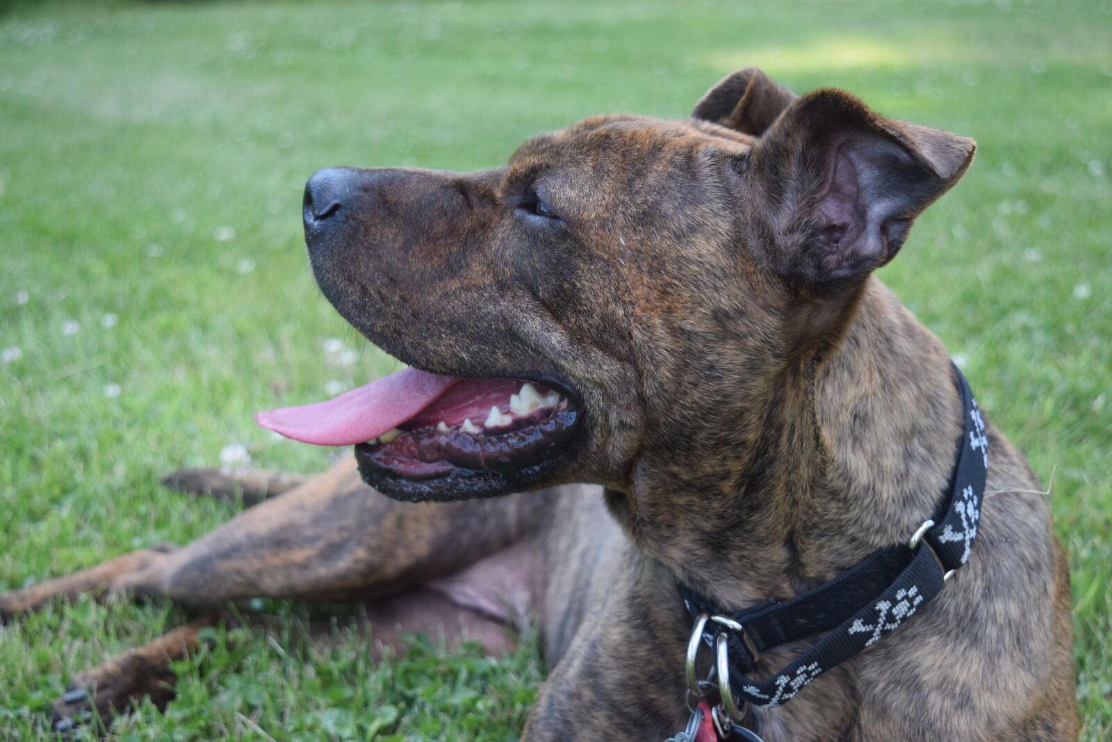 Nikon D3300 sample photo