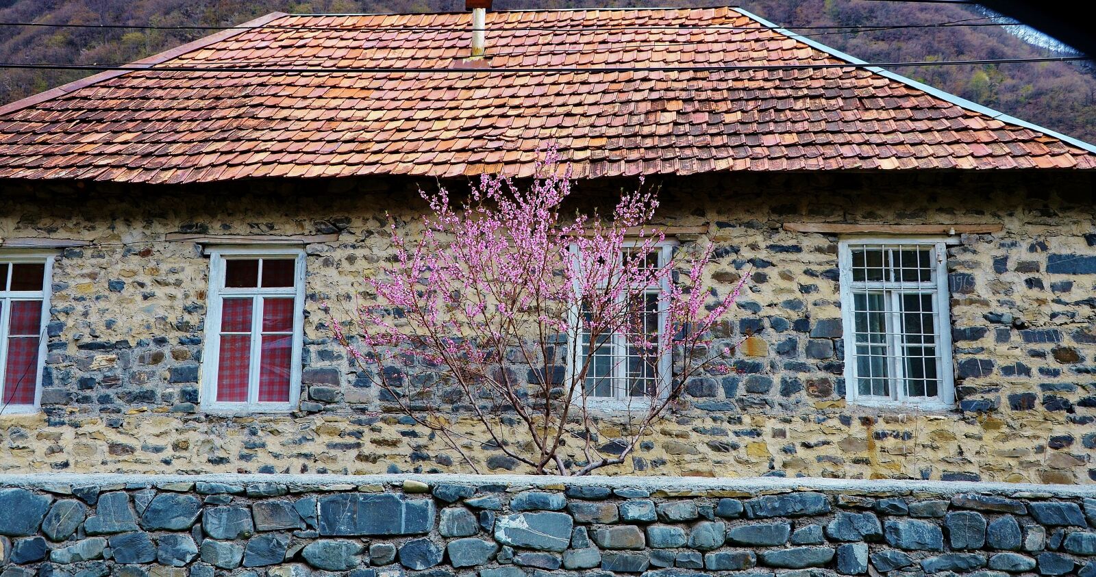 Nikon D7000 sample photo. Country, house, building photography