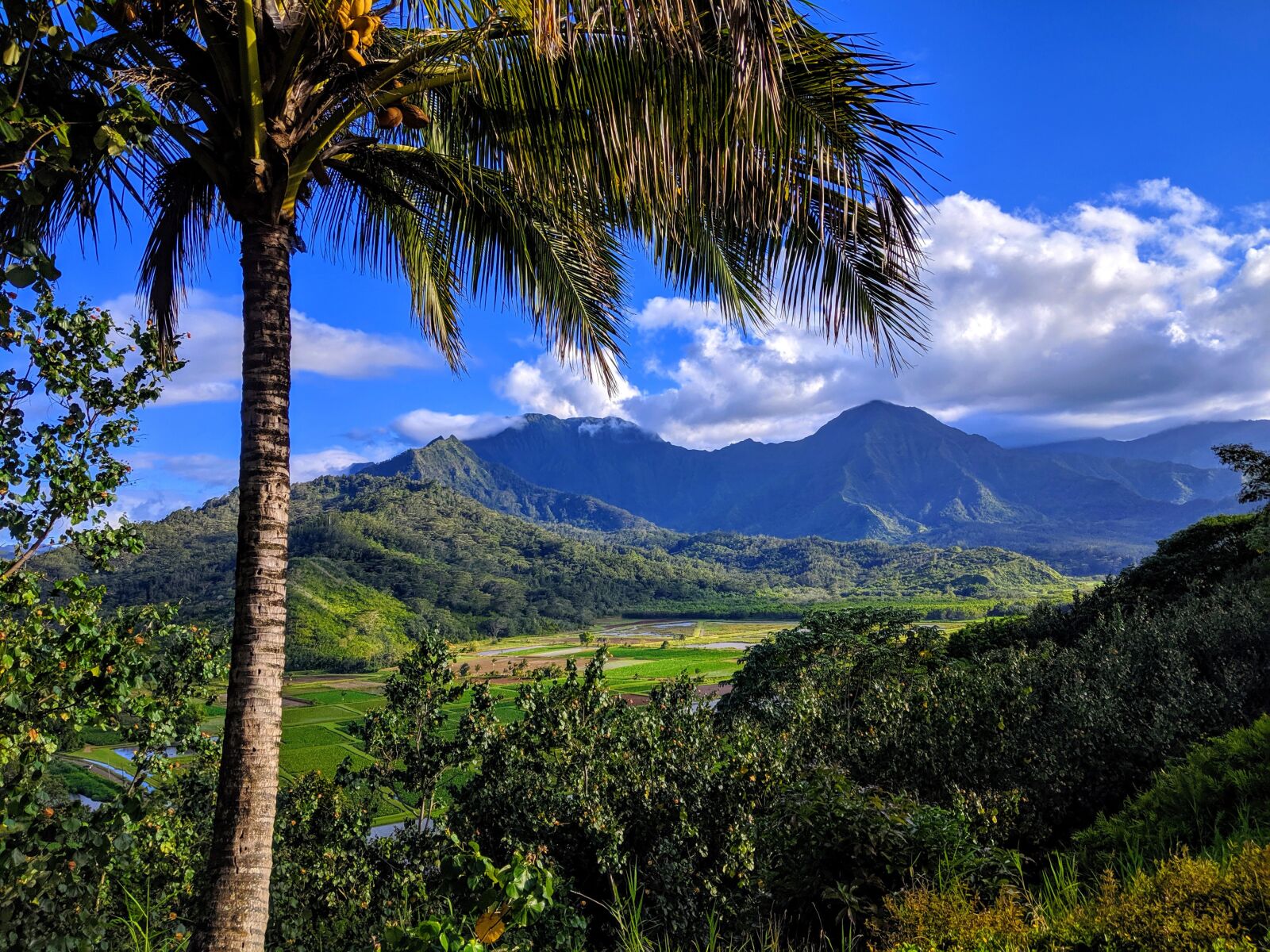Google Pixel 3a sample photo. Kauai, hawaii, nature photography