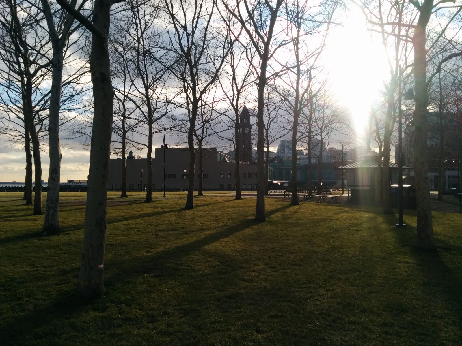 LG Nexus 5 sample photo