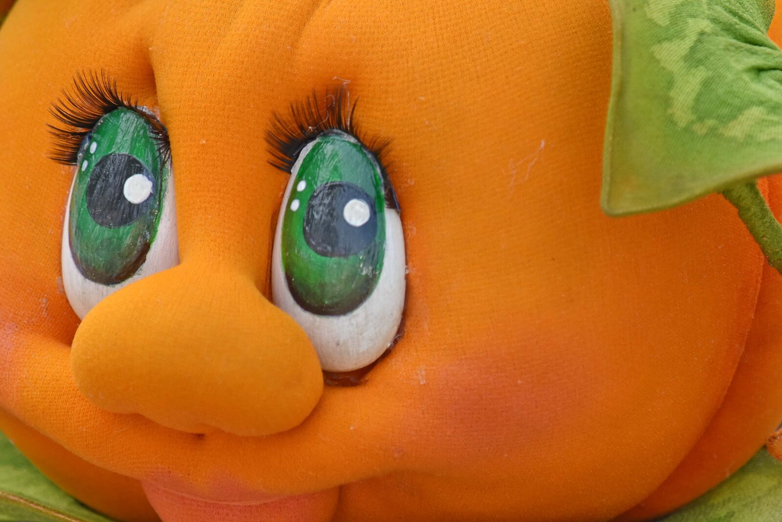 Nikon D5500 sample photo. Funny, handmade, pumpkin, color photography
