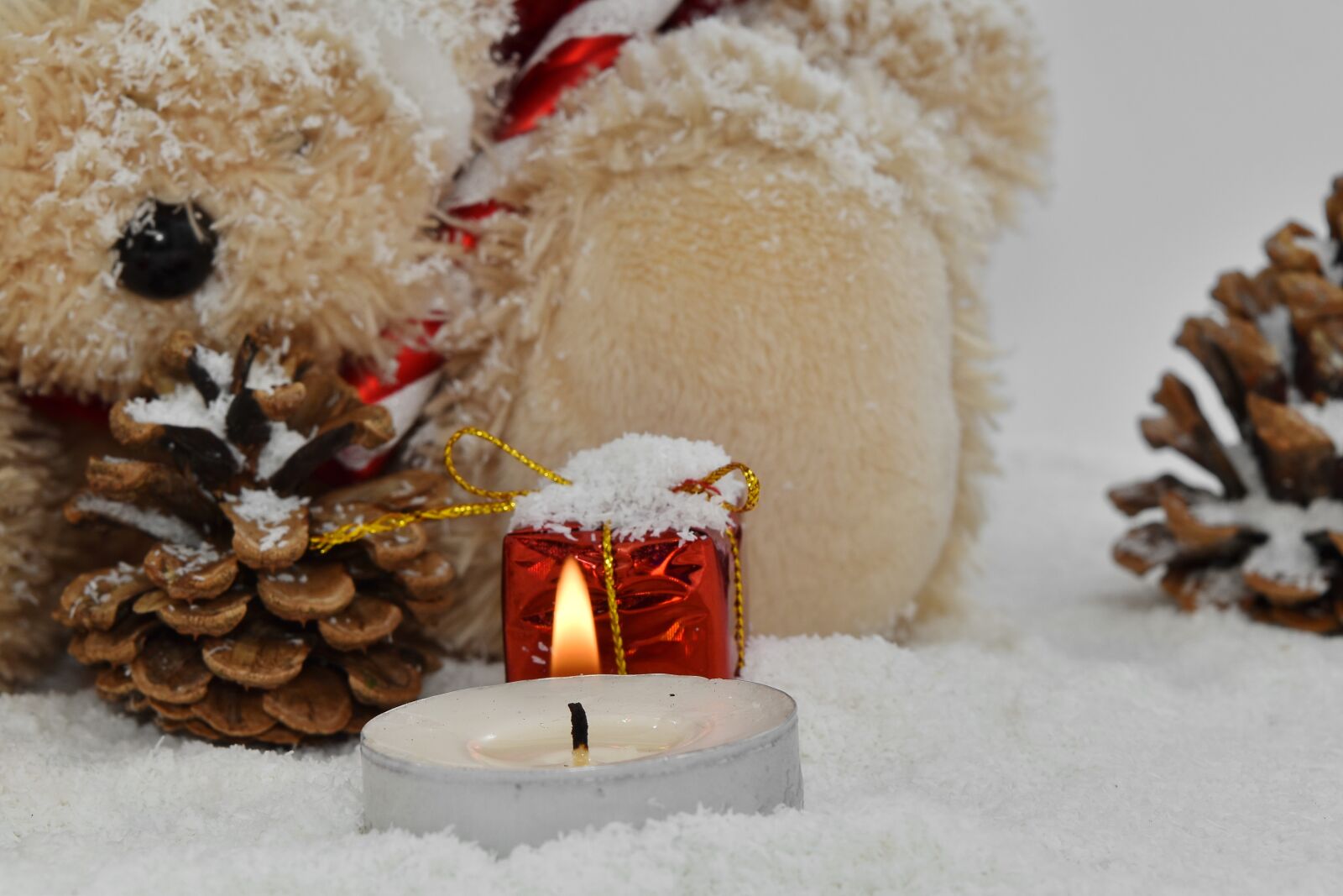 Nikon D5500 sample photo. Candle, christmas, gift, teddy photography