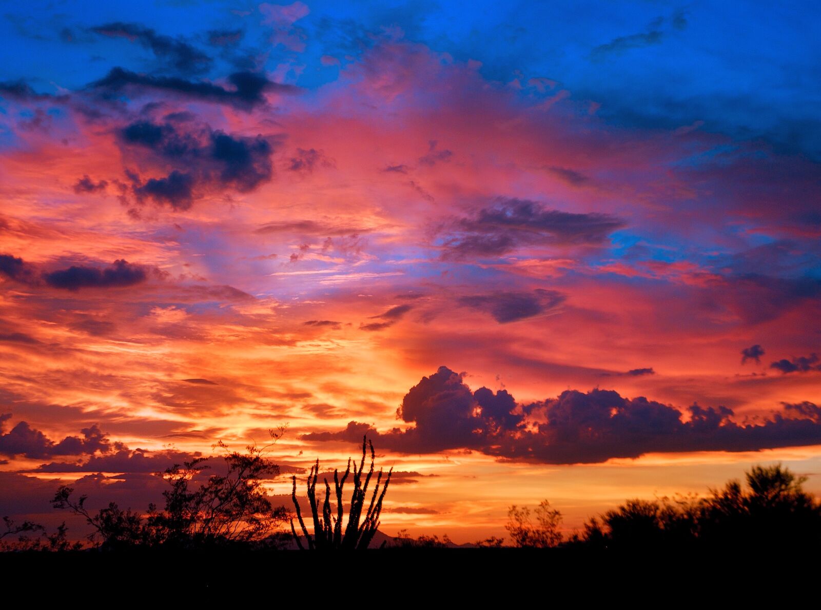 Nikon D200 sample photo. Arizona, tucson, sunset photography