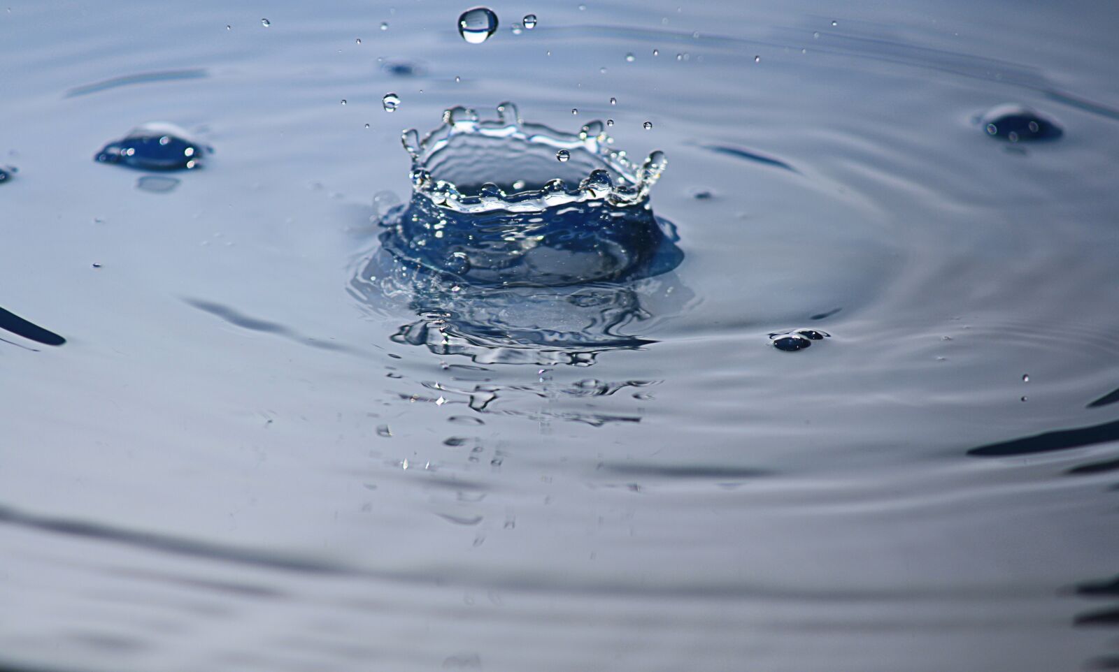 Canon EOS 1000D (EOS Digital Rebel XS / EOS Kiss F) sample photo. Water, drip, drop of photography
