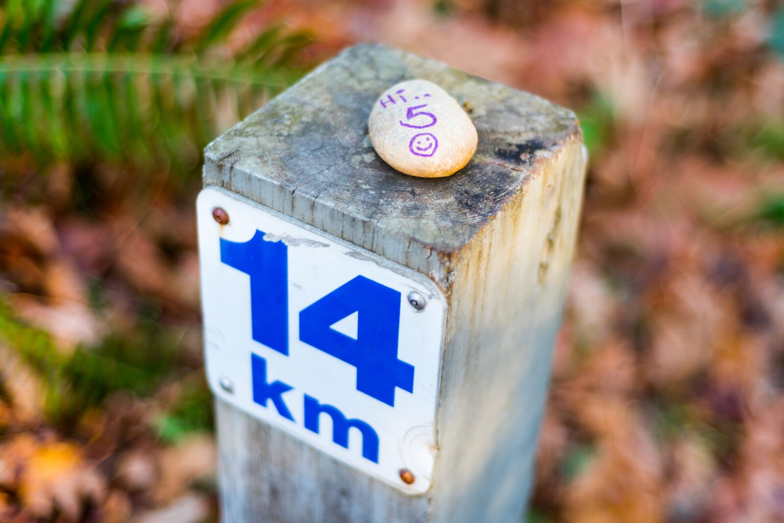 Nikon D750 sample photo. Hi 5, 14 km, stone photography