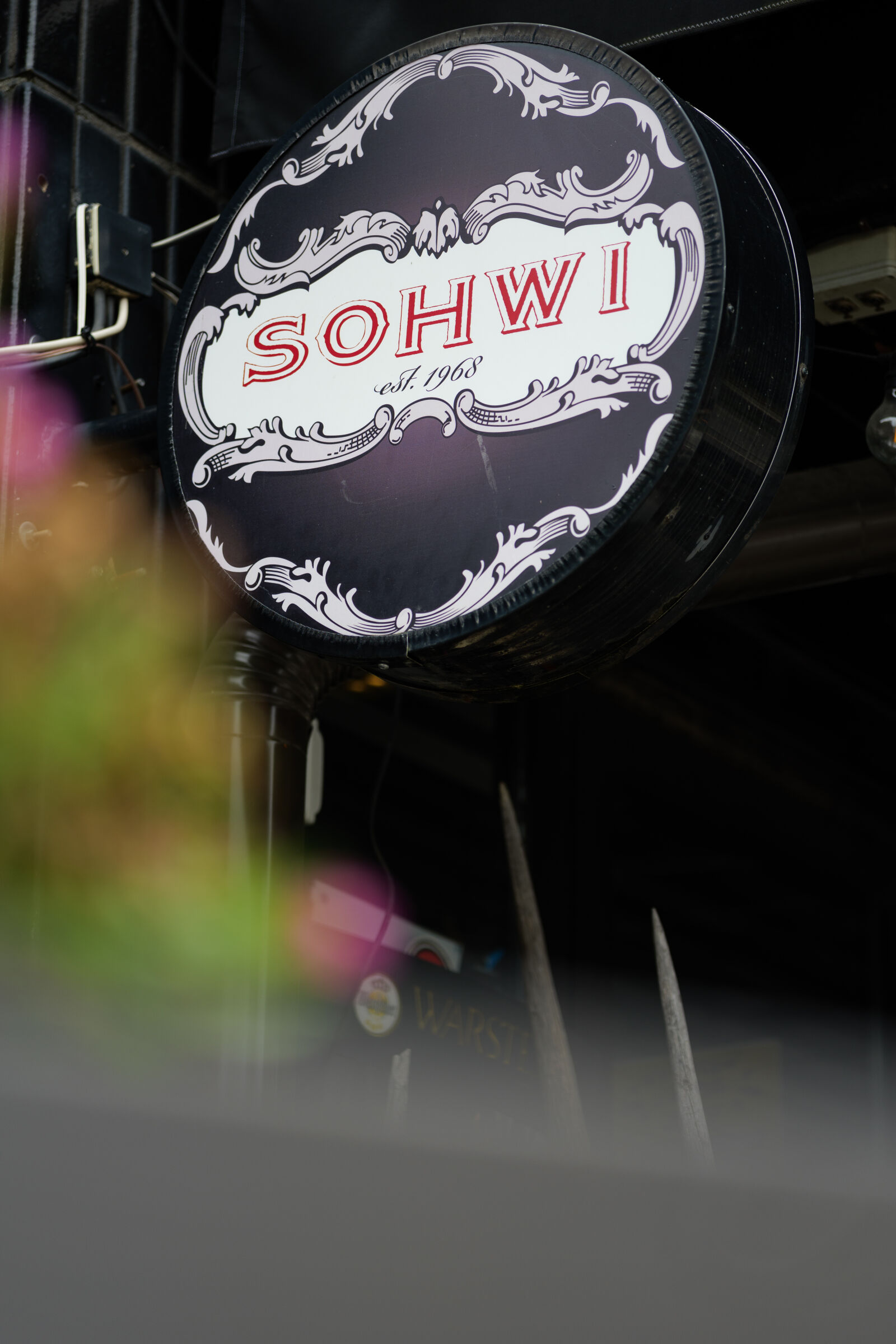 Panasonic Lumix DC-S5 II sample photo. Sohwi photography