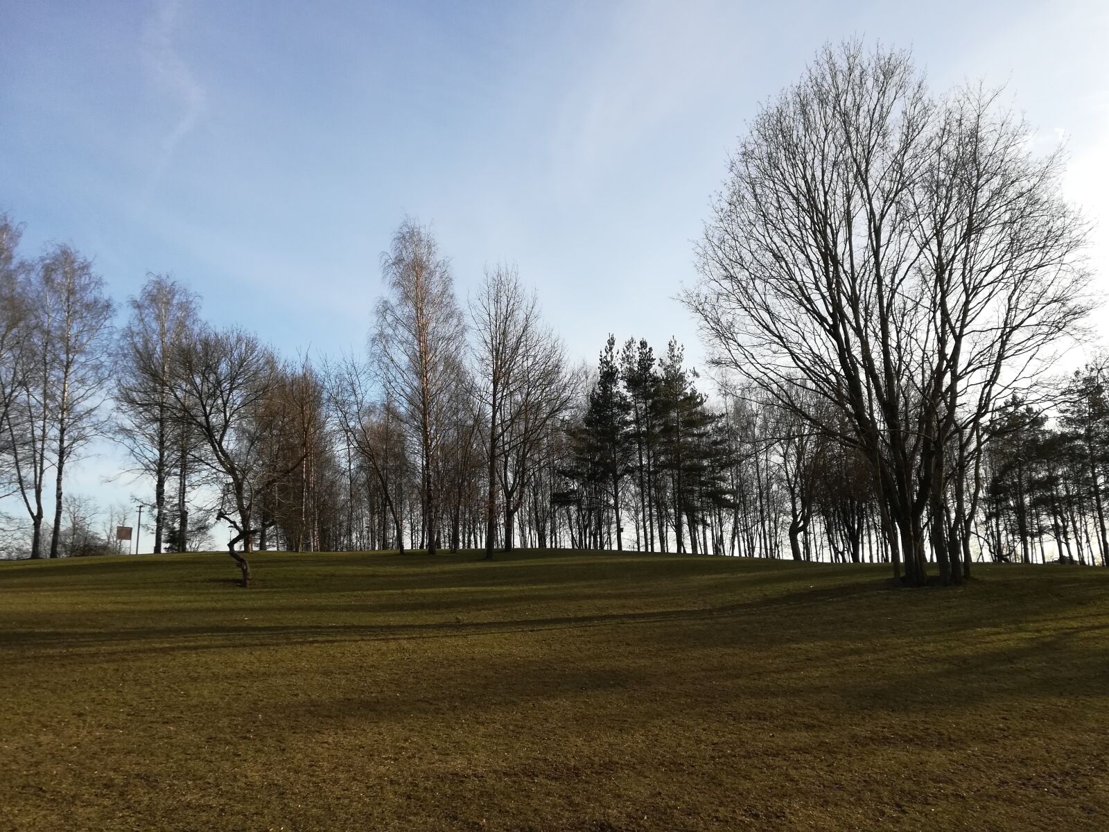 HUAWEI P10 lite sample photo. Field, forest, trees photography