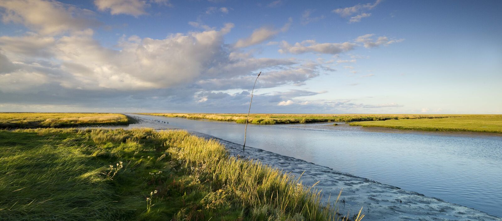 Leica M9 sample photo. Kwelder, waddenzee, bank photography