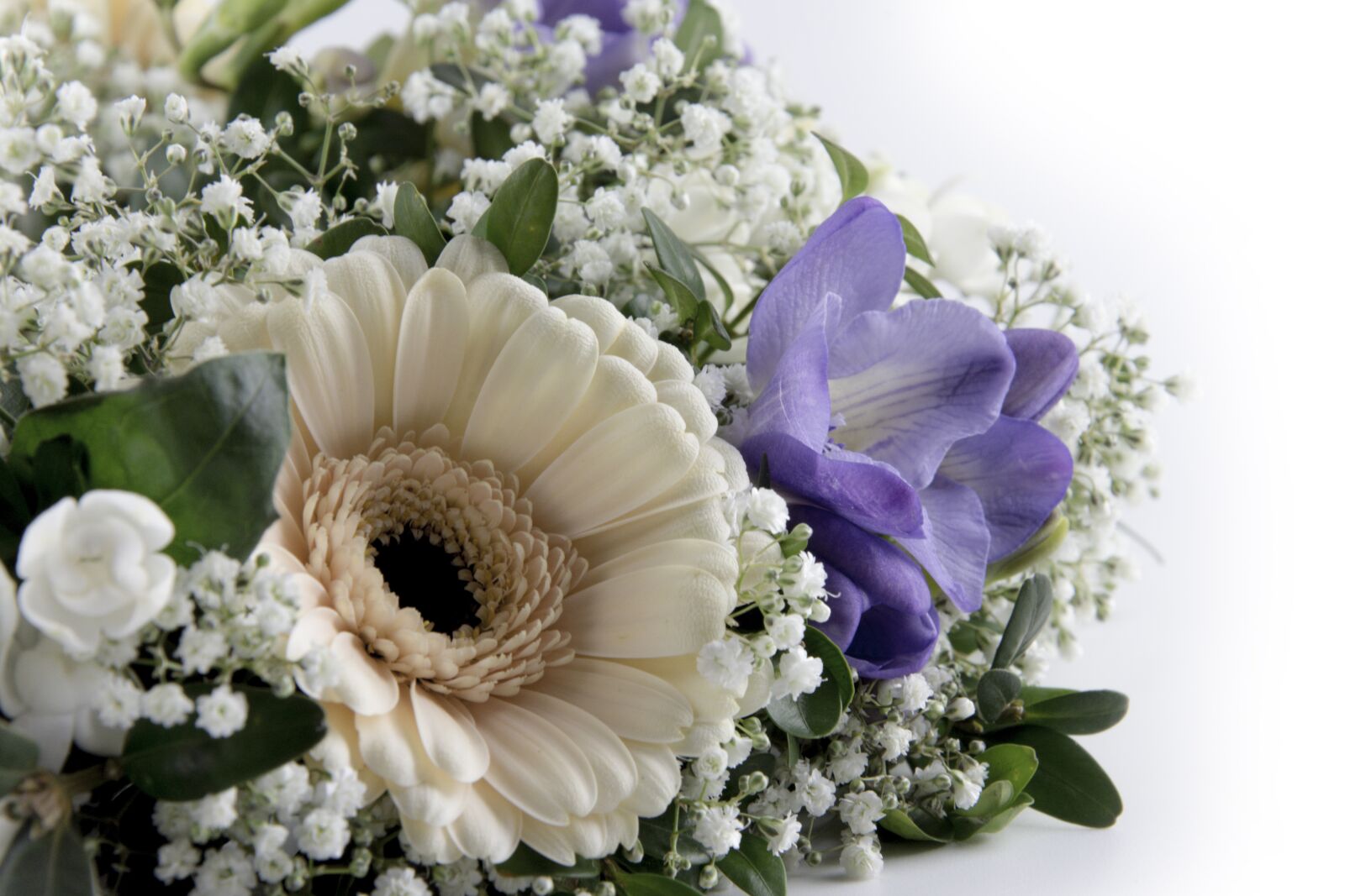 Nikon D7200 sample photo. Flowers, gerbera, roses photography