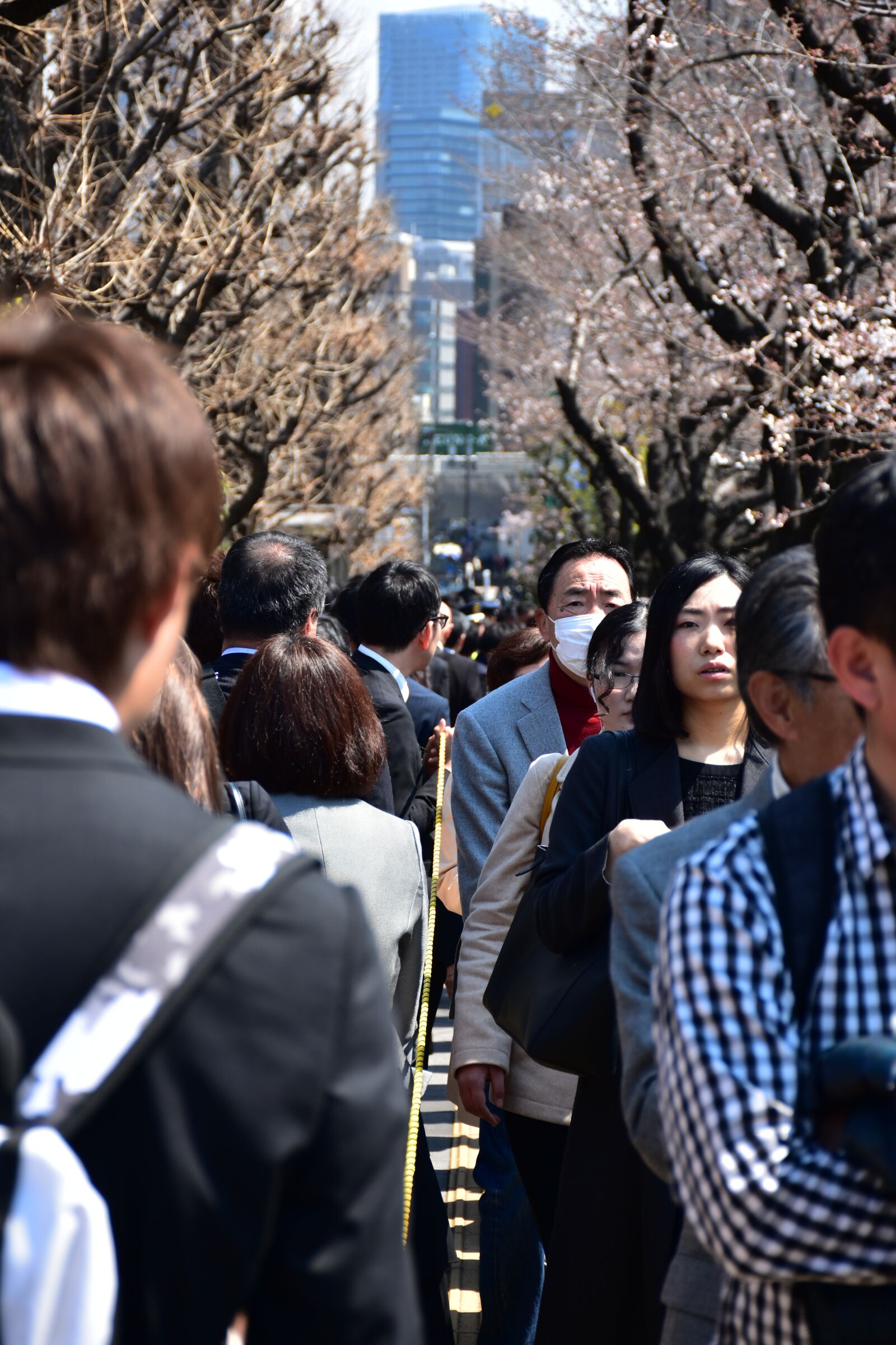 Nikon D7200 sample photo. Cherry tree, japan, tokiyo photography