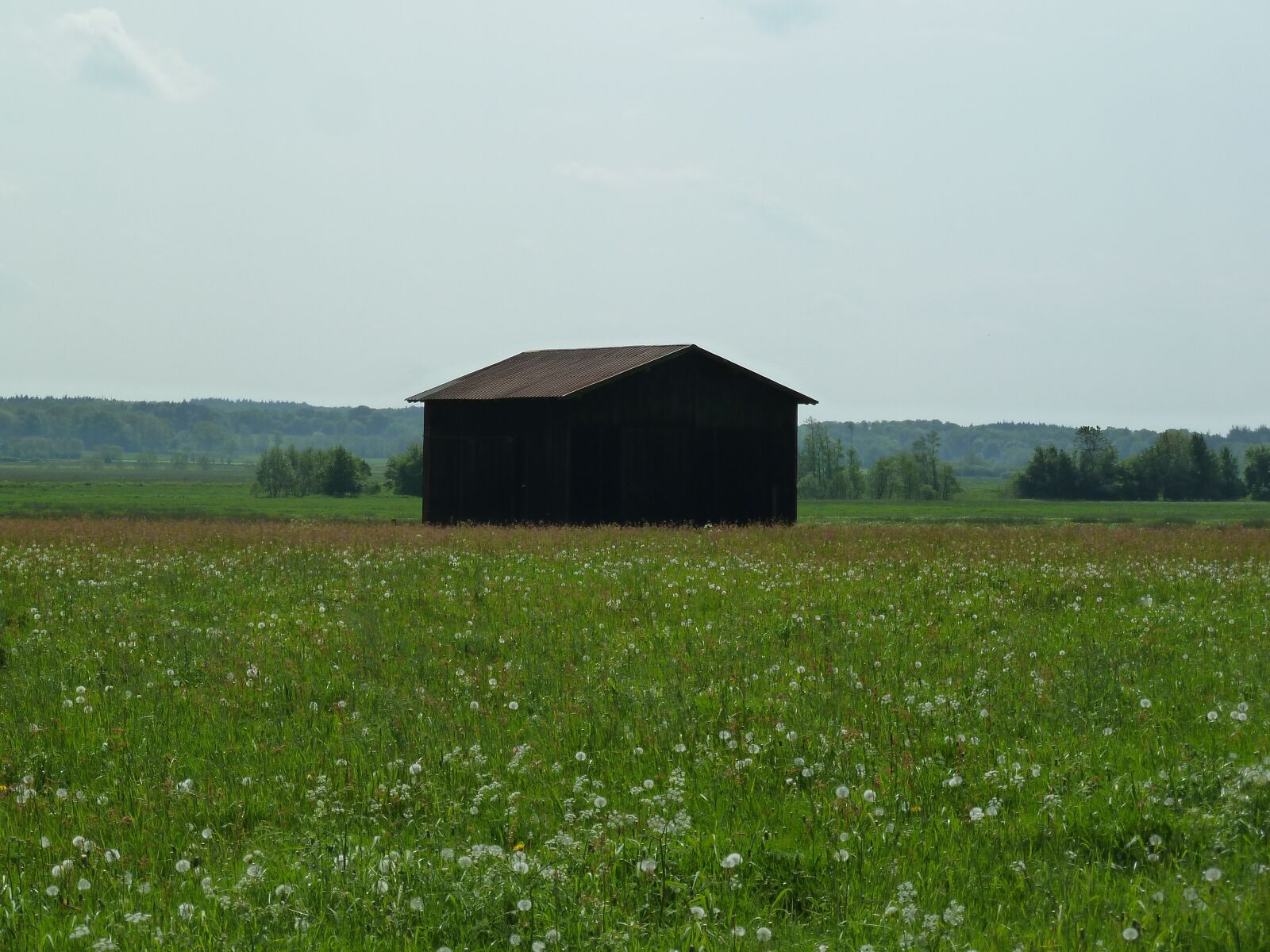 Panasonic Lumix DMC-ZS5 (Lumix DMC-TZ8) sample photo. Barn, summer, grass photography