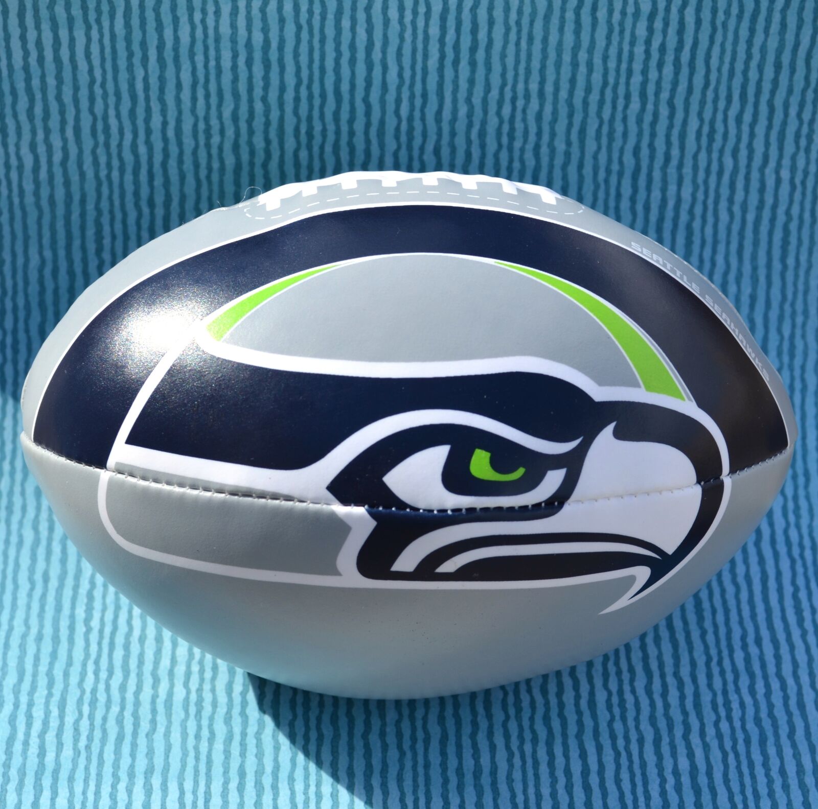 Nikon D5100 sample photo. Seattle, seahawks, seahawk photography