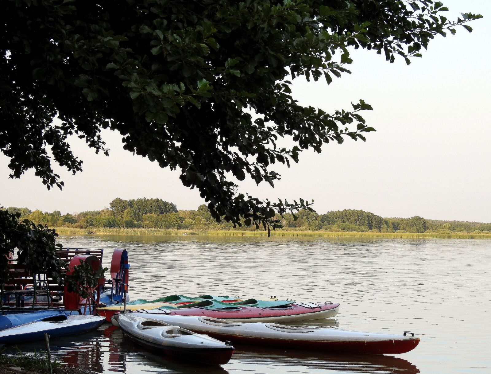 Nikon Coolpix P900 sample photo. Lake, summer, kayaks photography