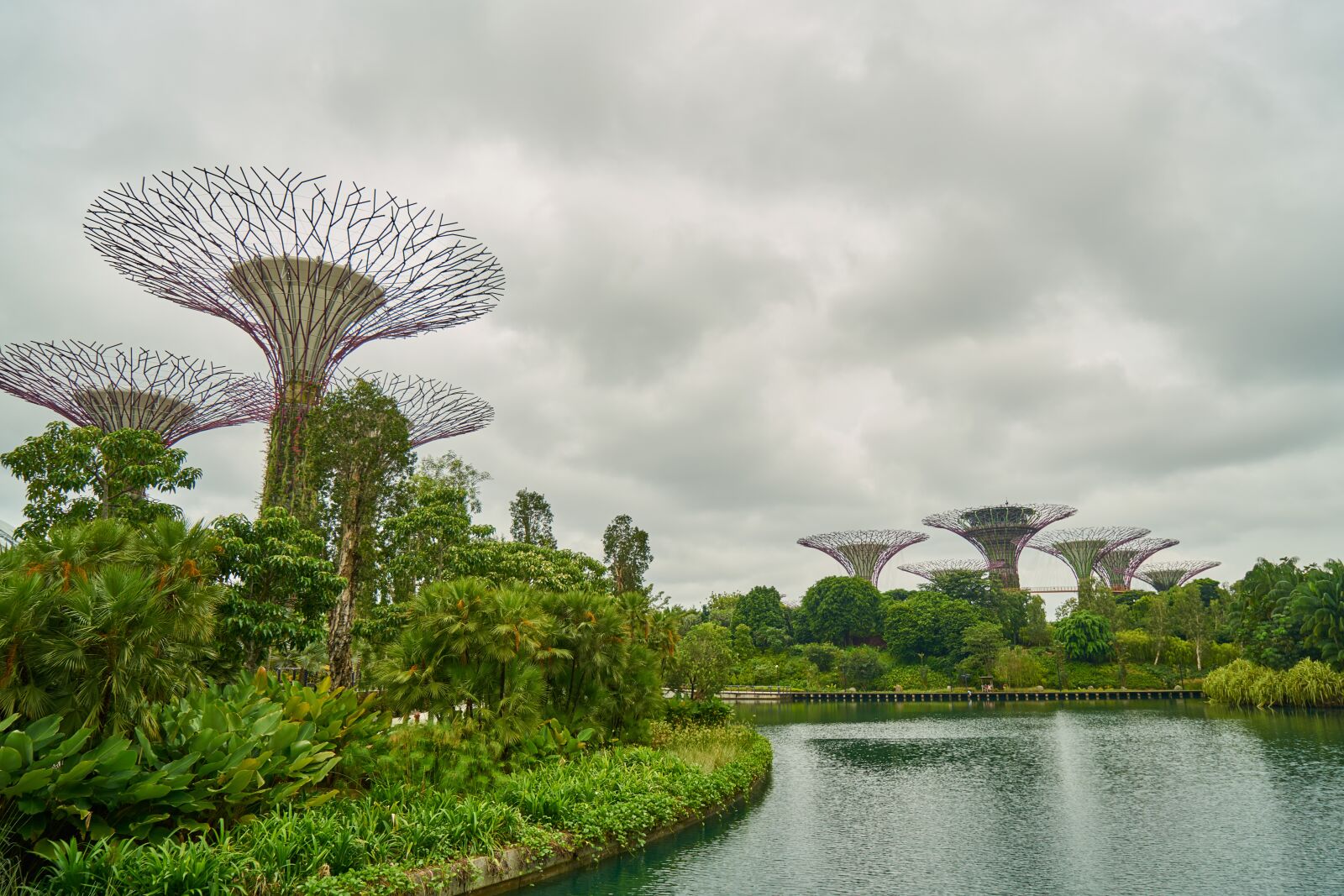 Sony a7R II sample photo. Singapore, nature, park photography