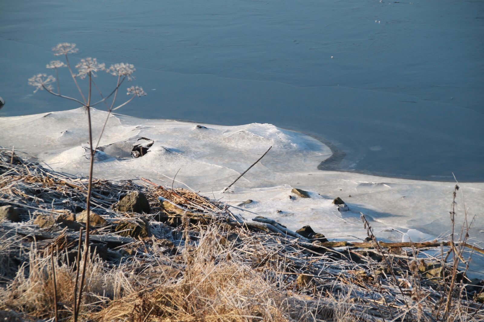 Canon EOS 500D (EOS Rebel T1i / EOS Kiss X3) sample photo. Winter, ice, snow photography
