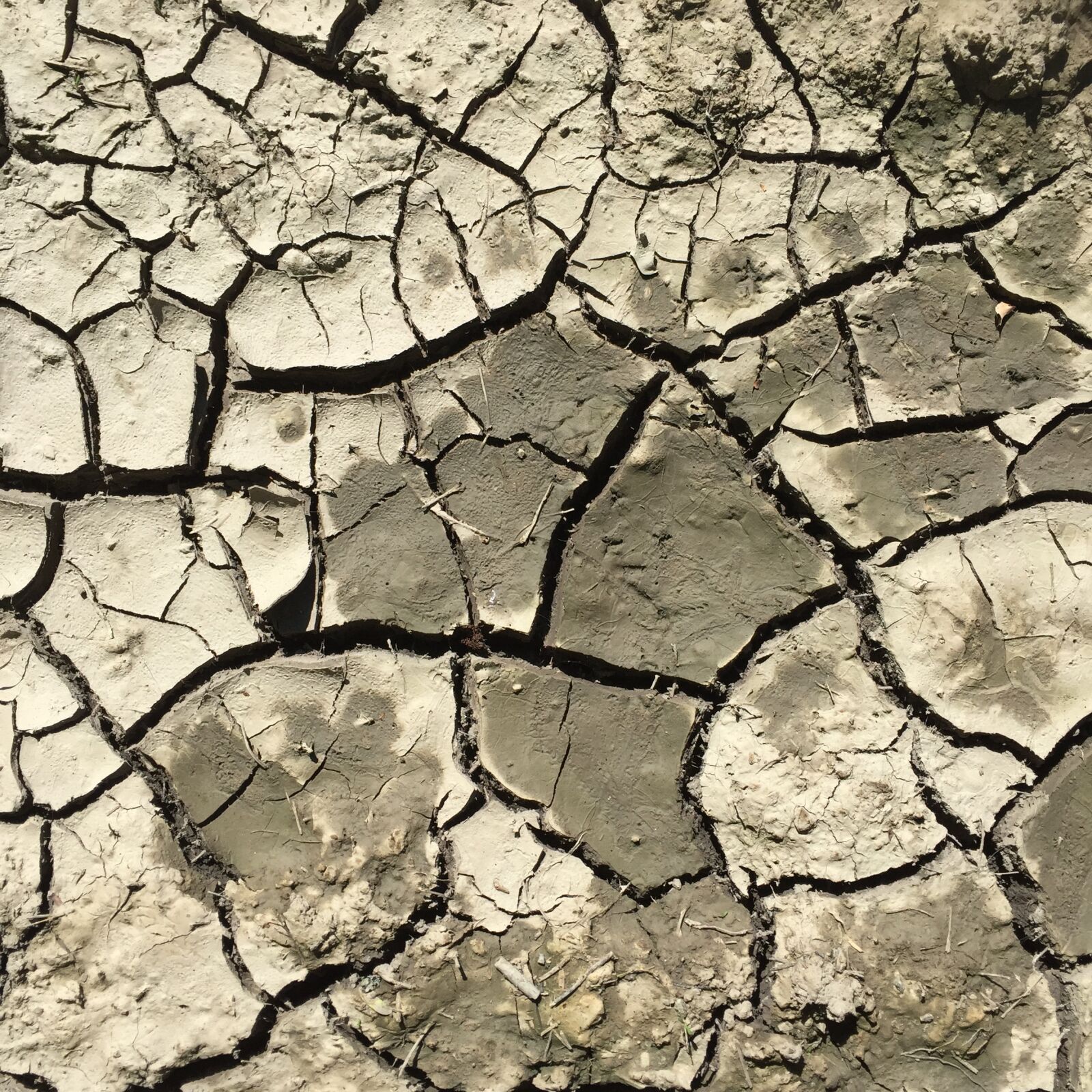 Apple iPhone 6 sample photo. Clay, cracks, dry photography