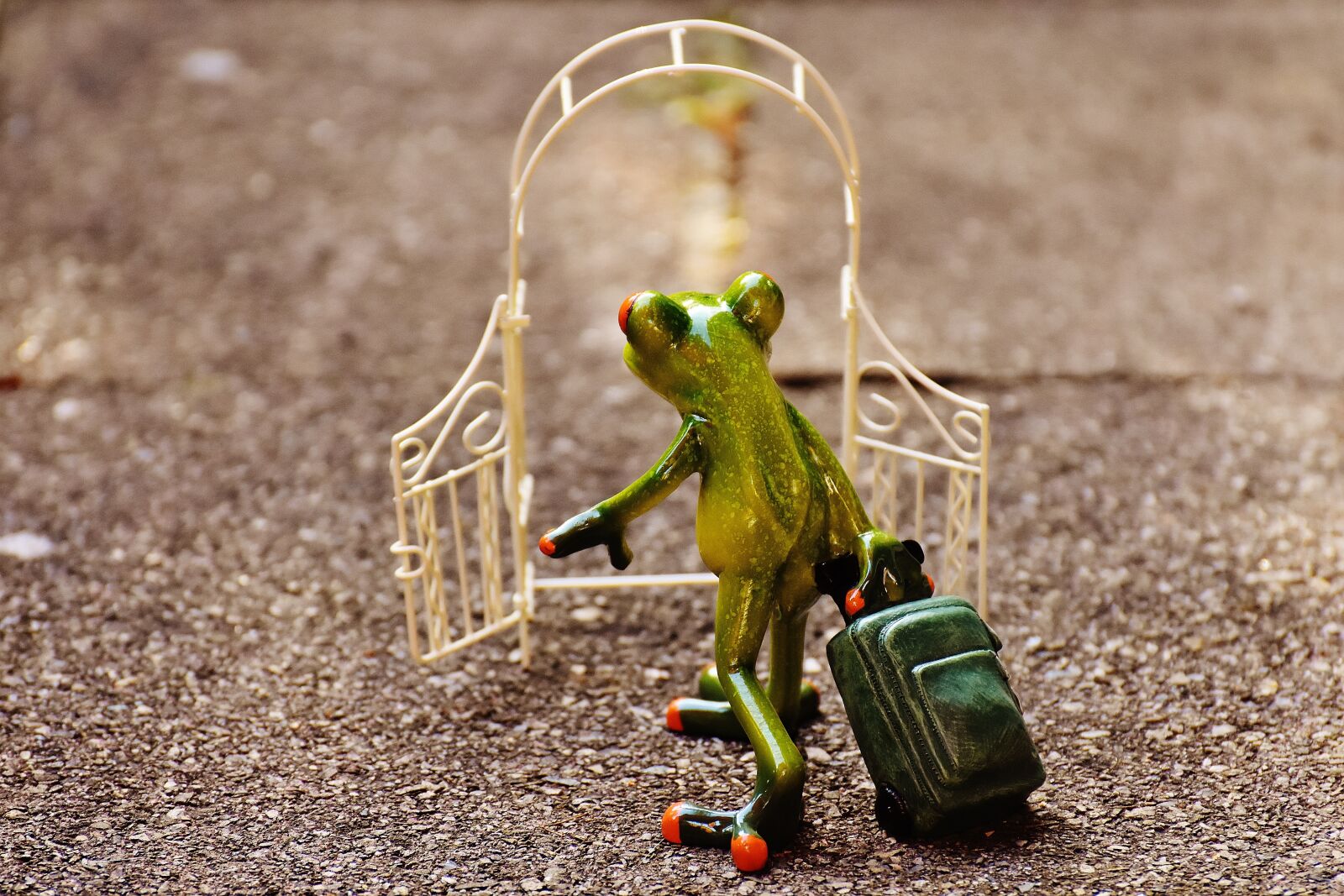 Nikon D7200 sample photo. Archway, garden door, frog photography