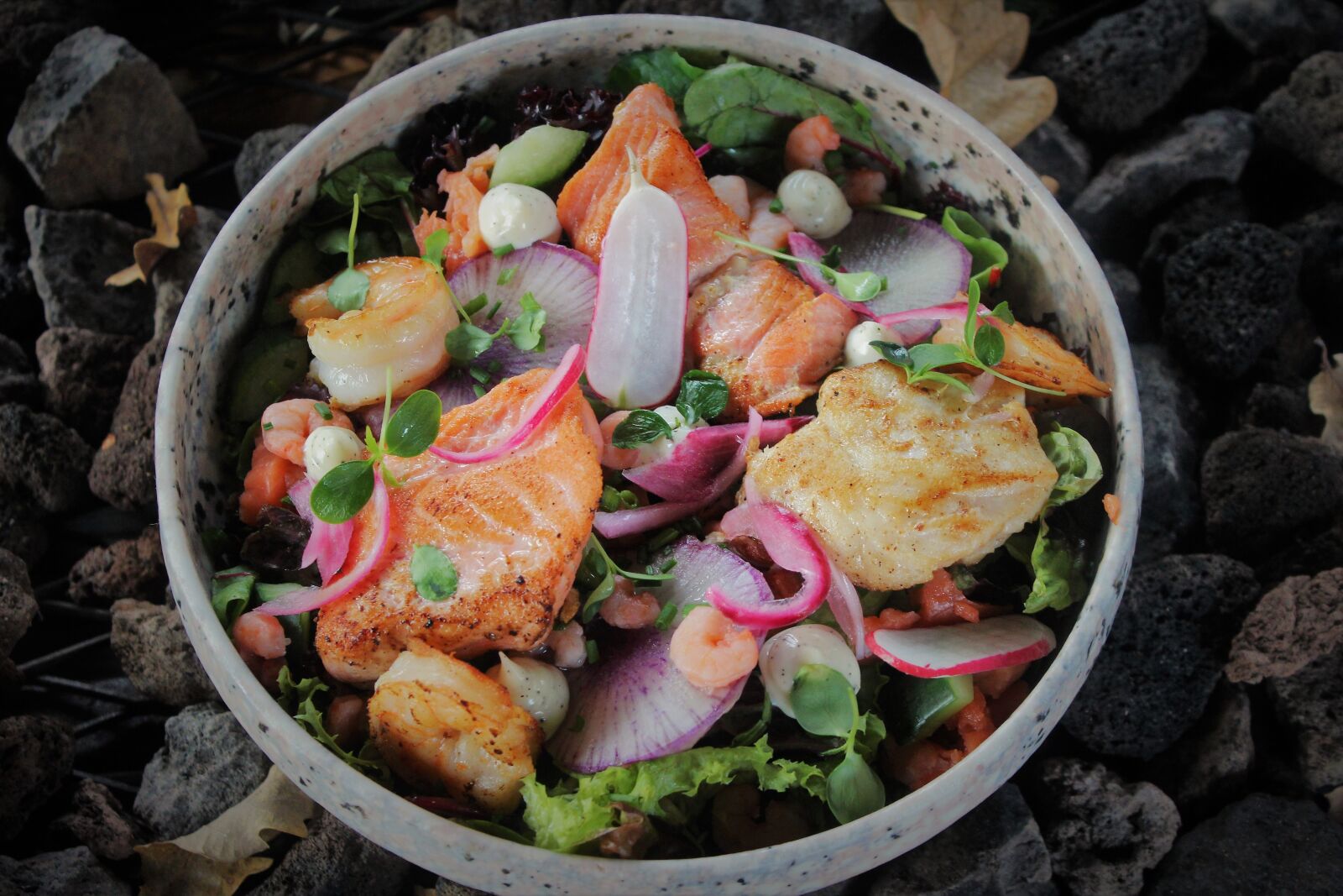 Canon EOS 600D (Rebel EOS T3i / EOS Kiss X5) sample photo. Fish salad, tuna salad photography