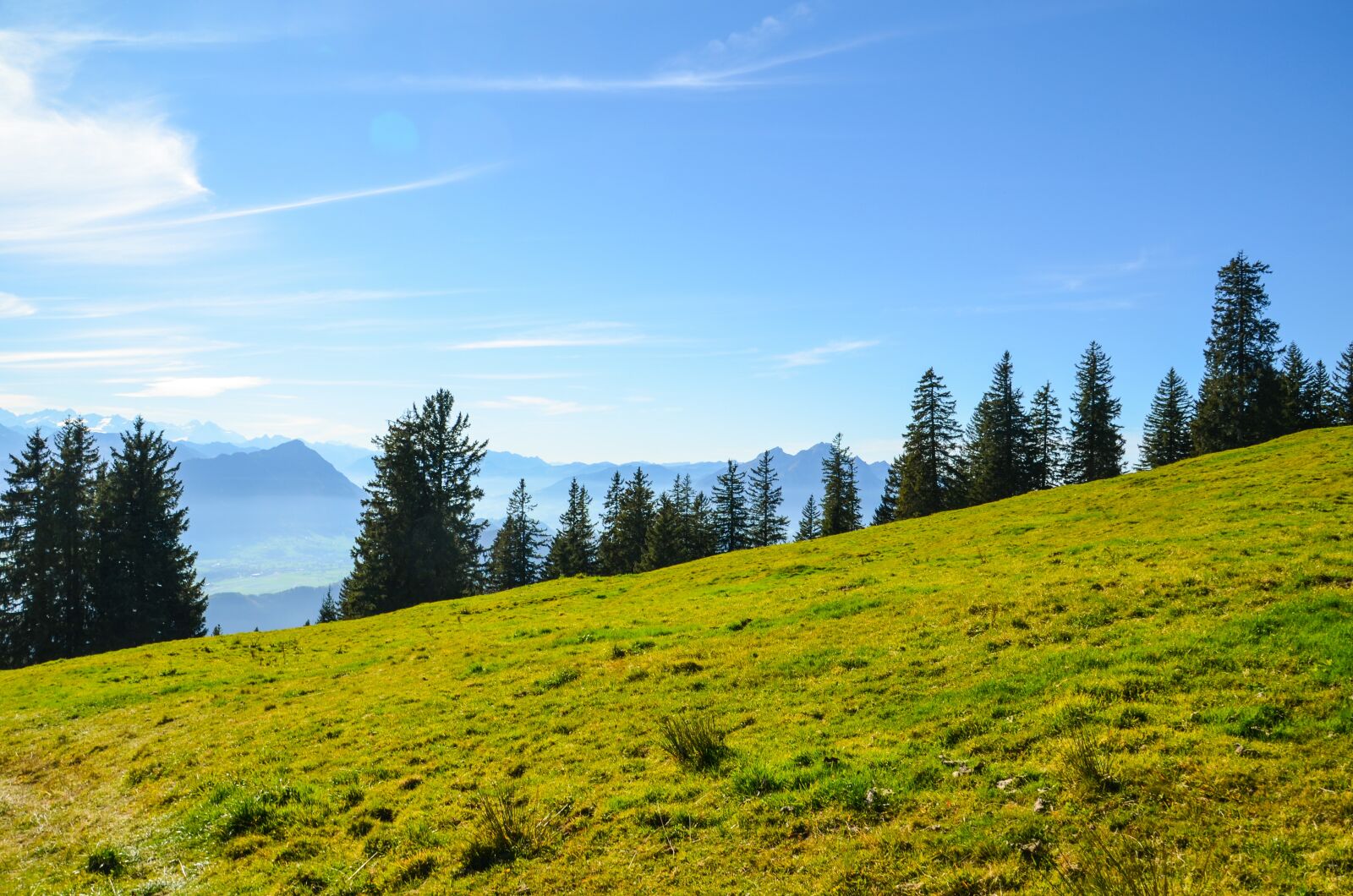 Nikon D7000 sample photo. Mountain meadow, hiking, switzerland photography