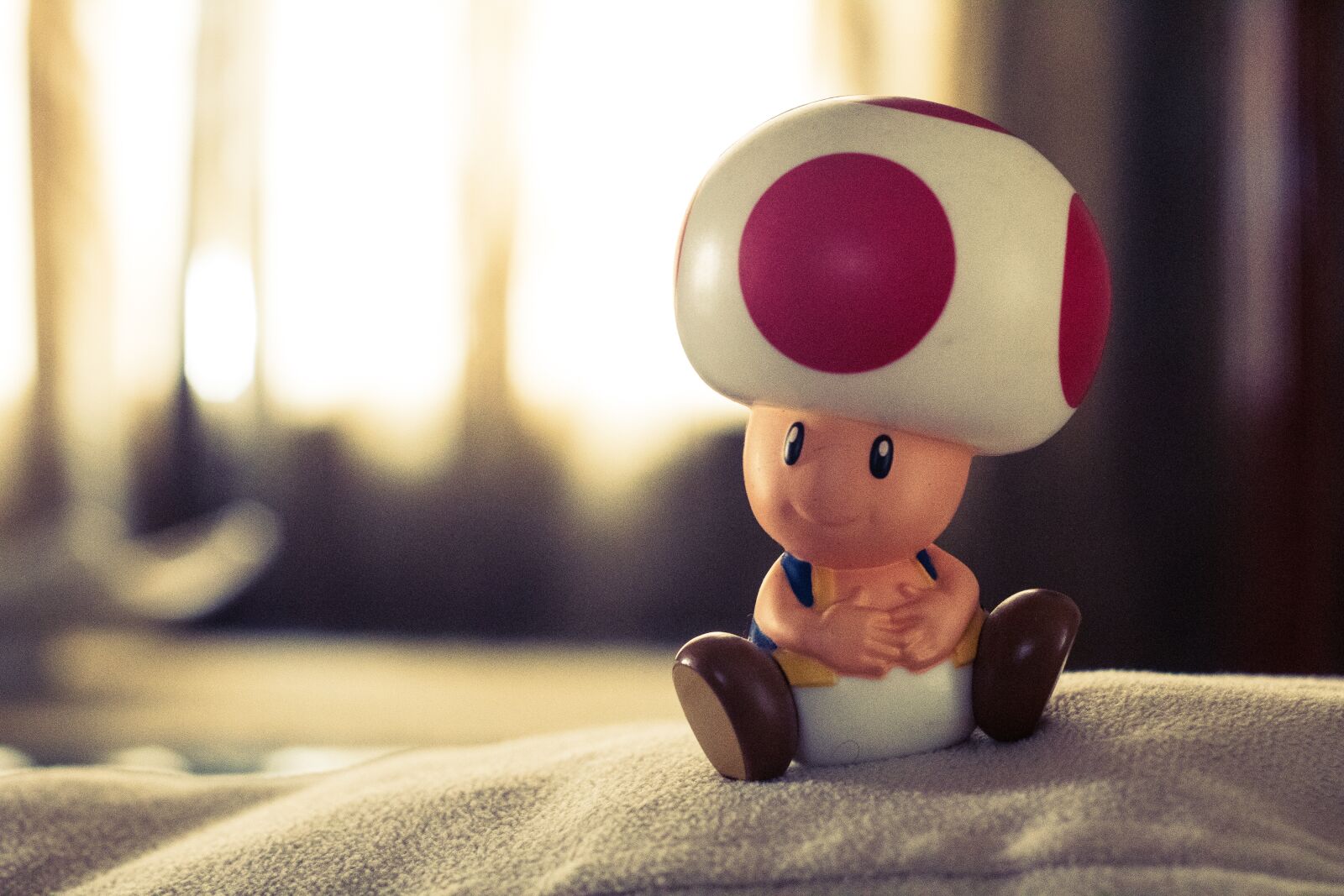 Canon EOS 750D (EOS Rebel T6i / EOS Kiss X8i) sample photo. Mario, tood, mushroom photography