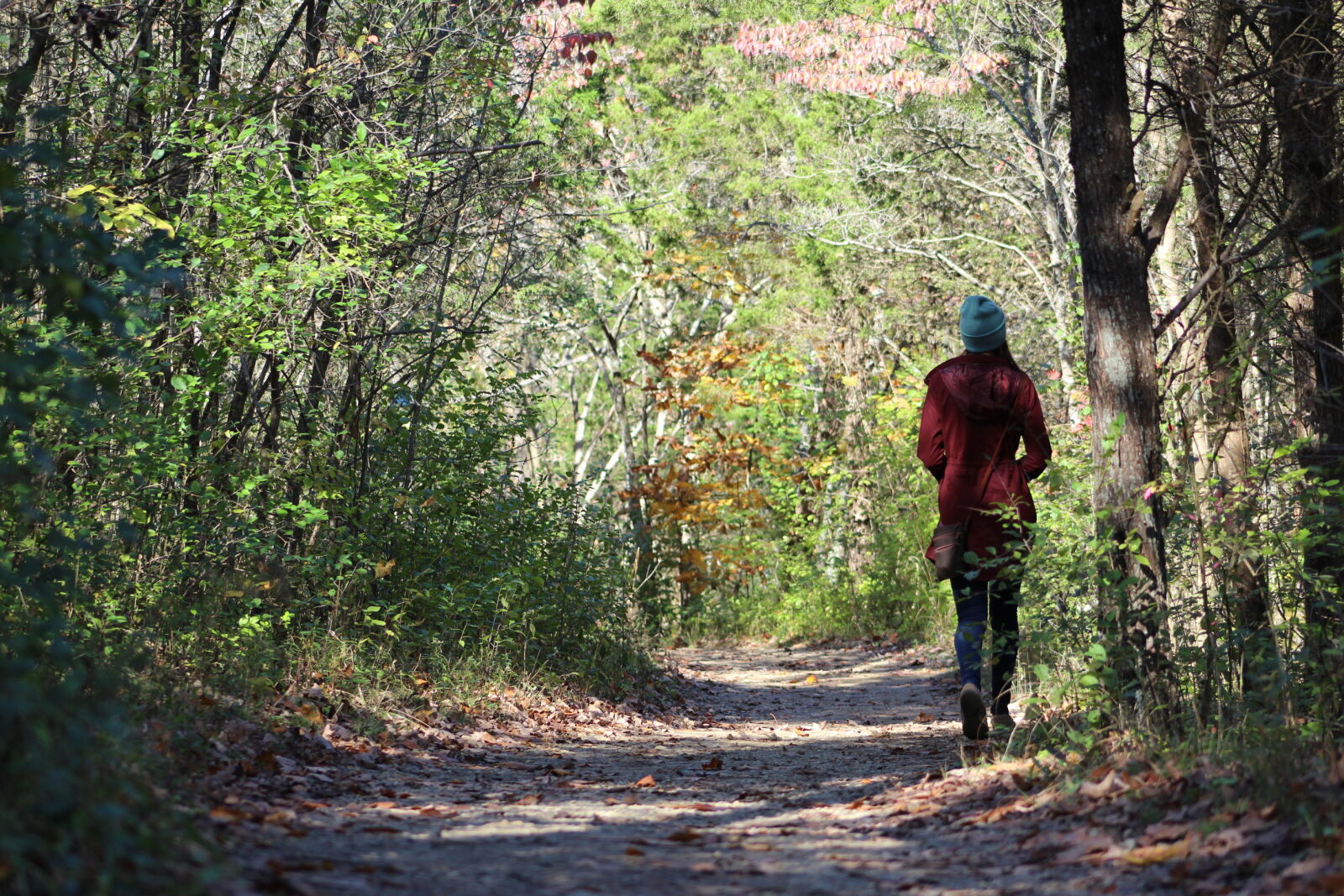Canon EF 75-300mm f/4-5.6 sample photo. Nature, nature, walk, walking photography