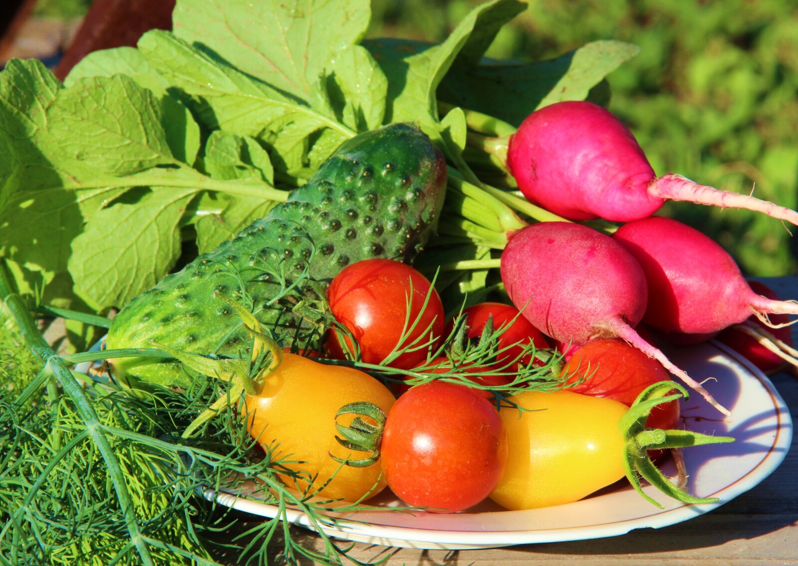 Canon EOS 600D (Rebel EOS T3i / EOS Kiss X5) sample photo. Food, tomatoes, vegetables photography