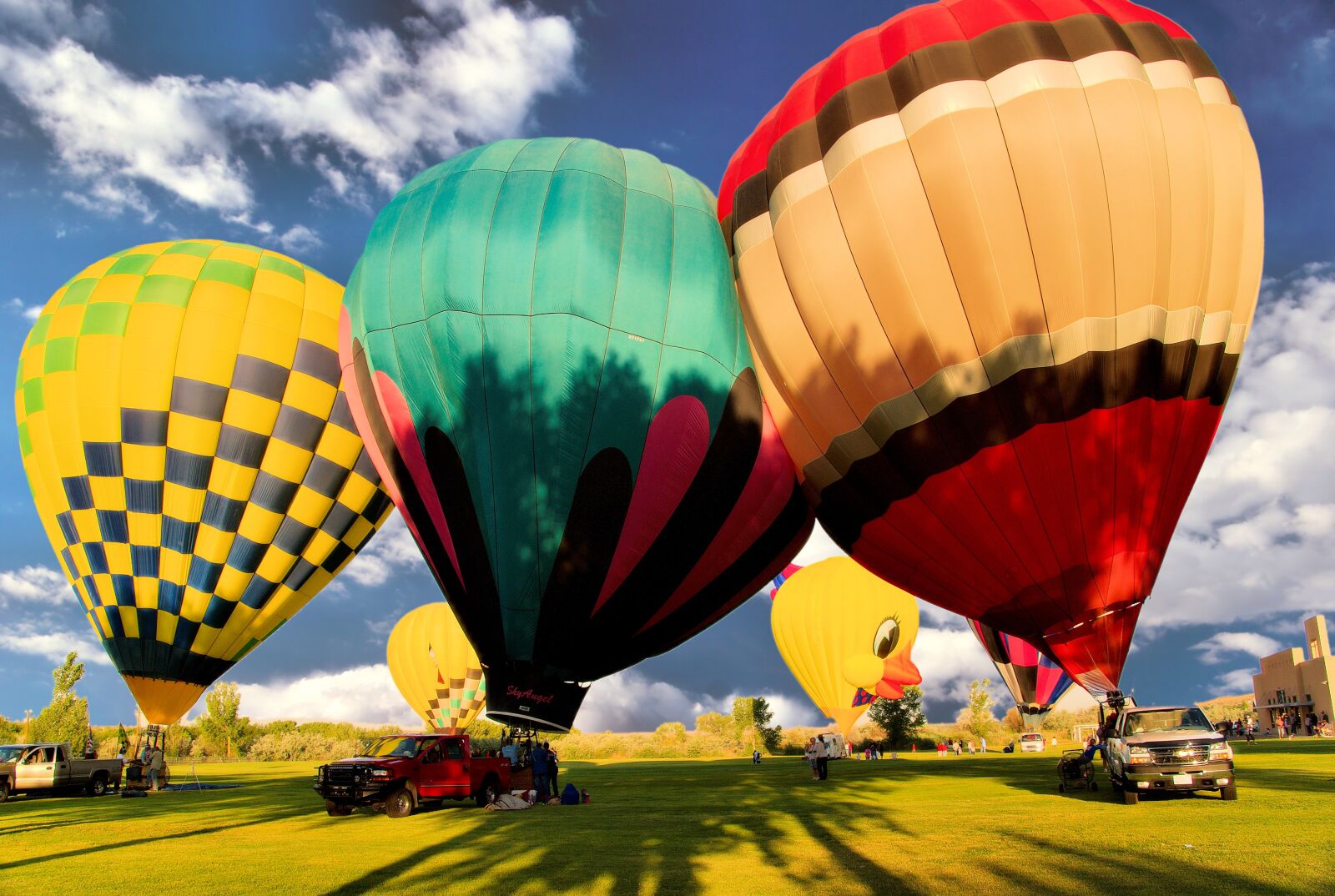 Sony Alpha DSLR-A300 sample photo. Balloon, flying, waving photography