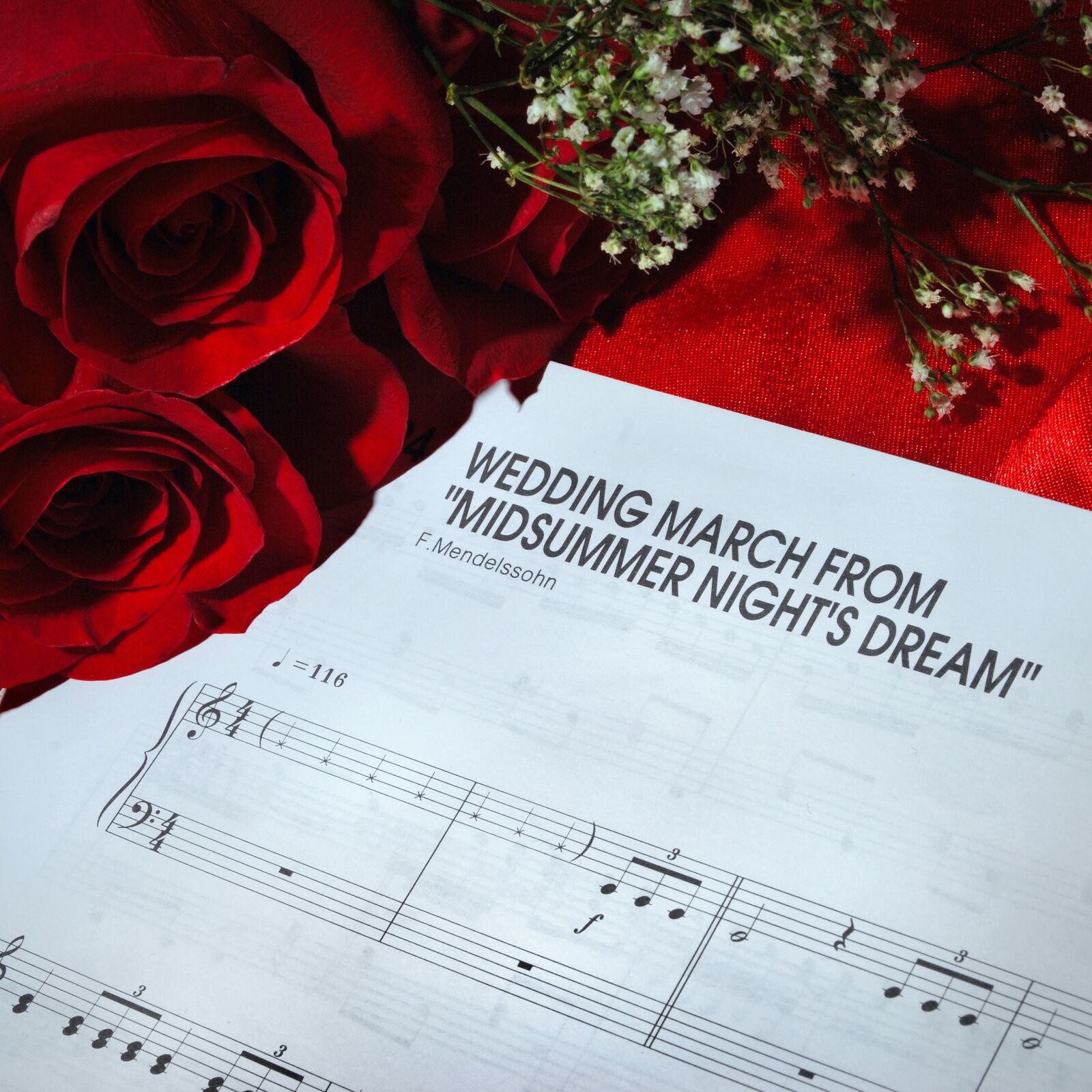 Nikon D60 sample photo. Rose, paper, love photography