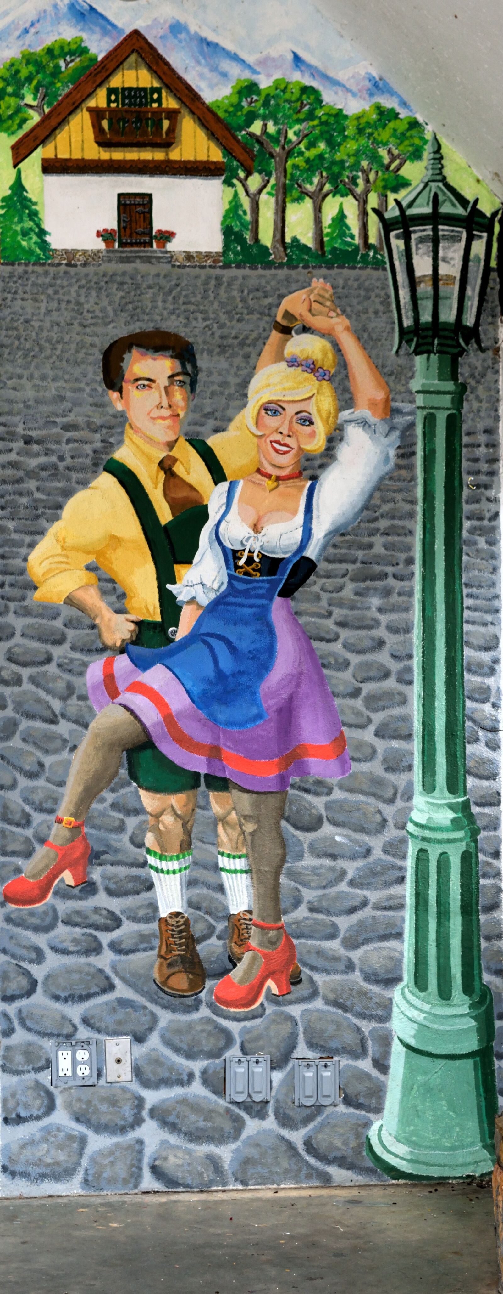 Nikon D3300 sample photo. Wall mural, alpine dancers photography