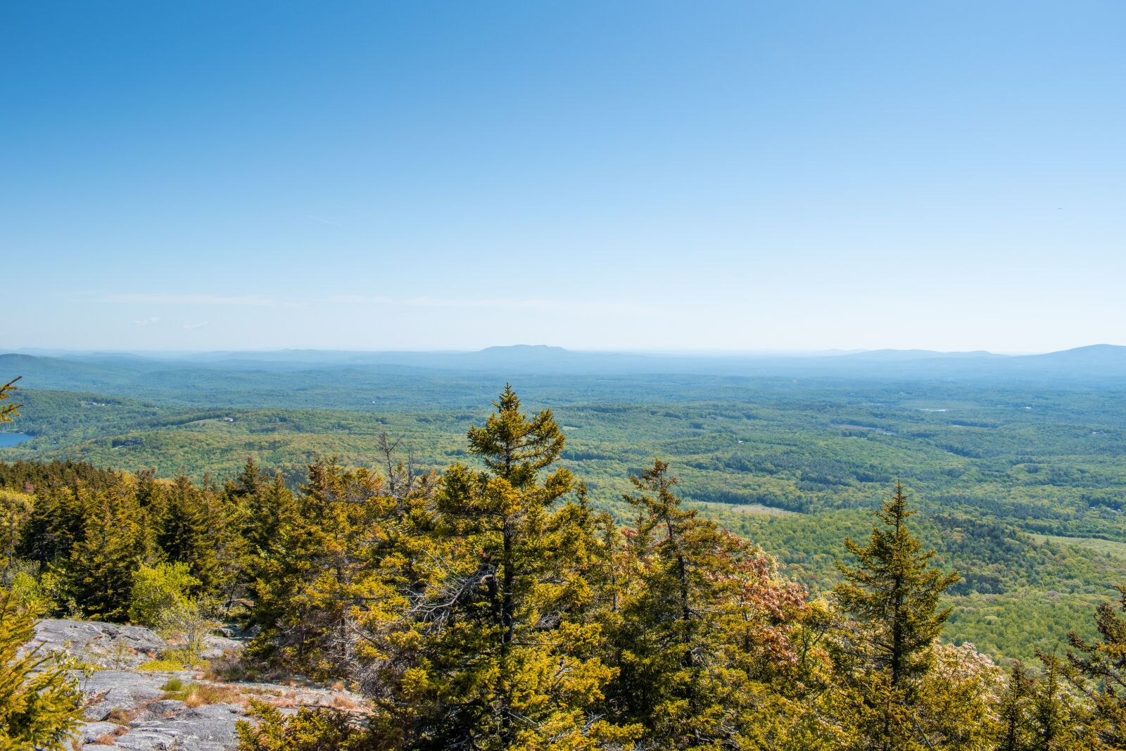 Nikon D5600 sample photo. Mountain, trees, green photography