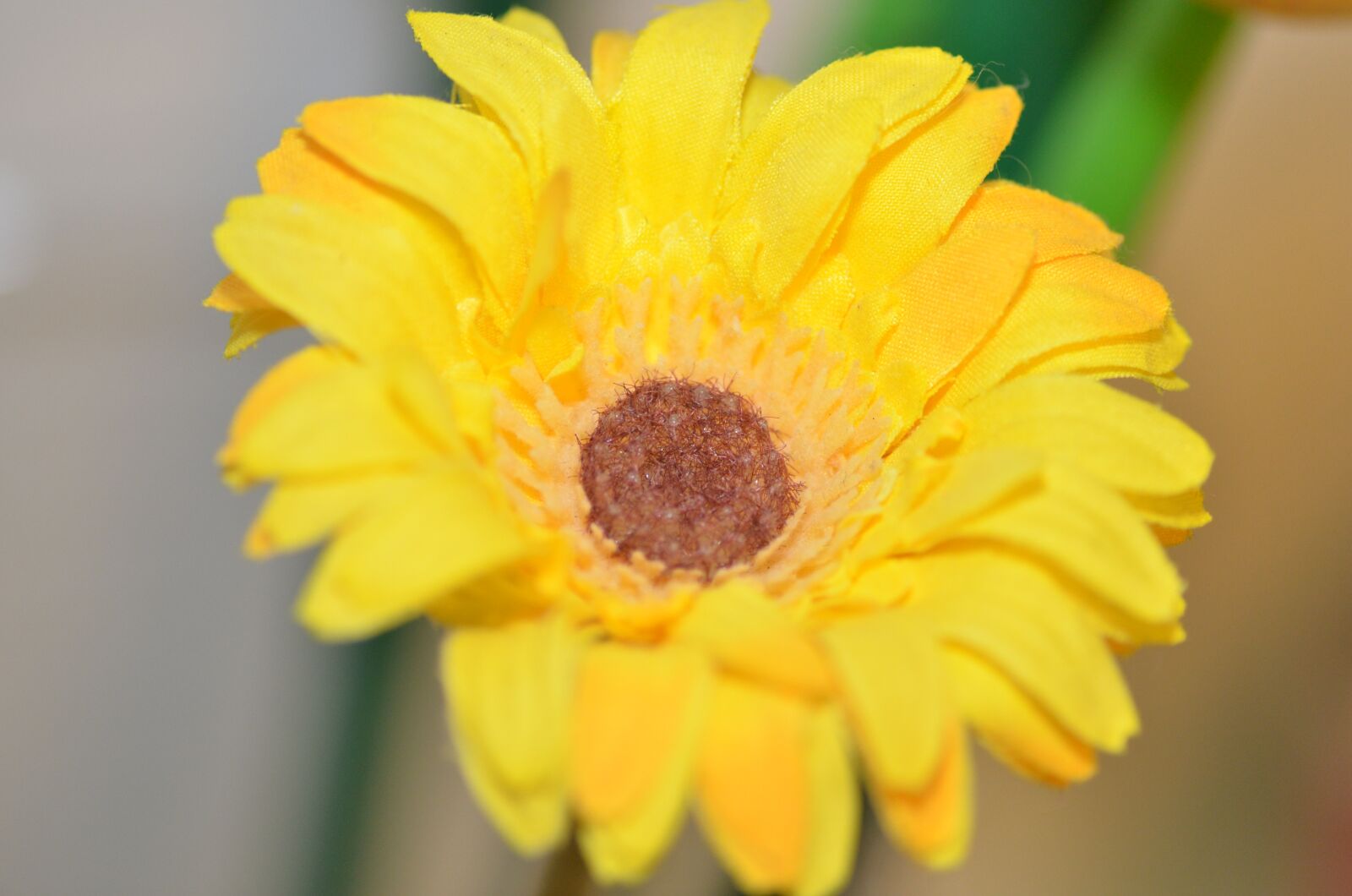 Nikon D7000 sample photo. Macro, flower, blossom photography