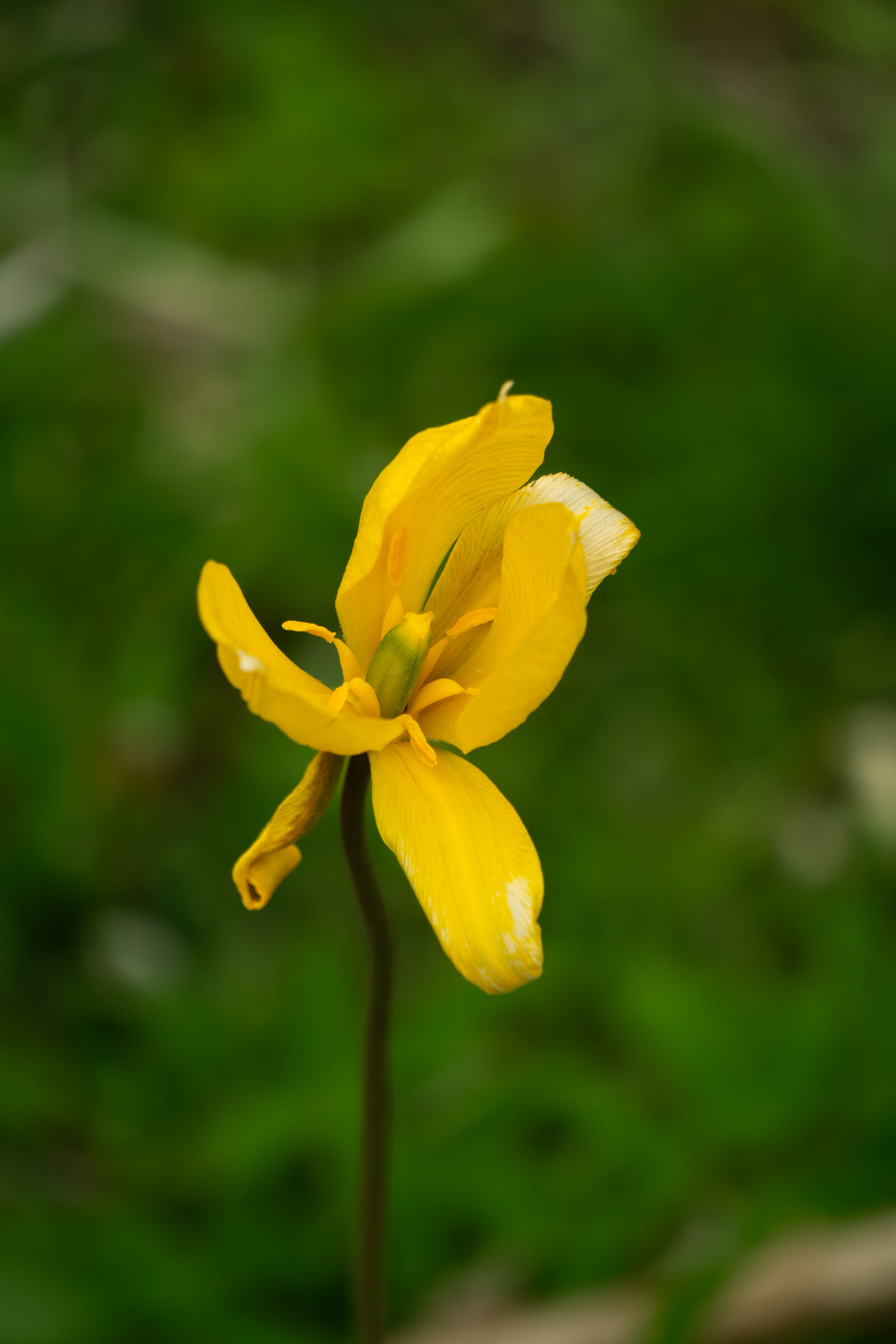Sony a6000 sample photo