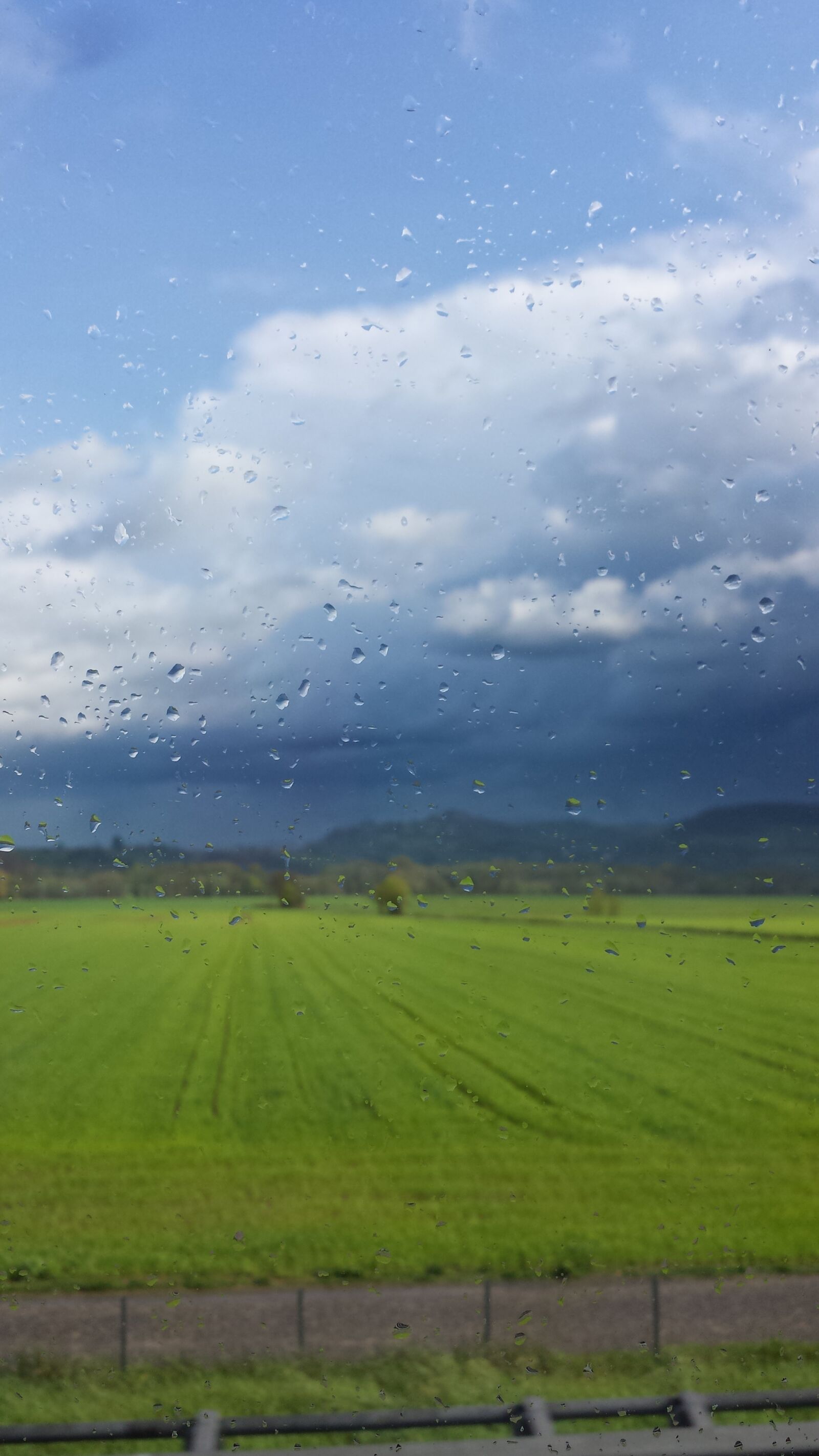 Samsung Galaxy S4 sample photo. Raindrops, rain, field photography