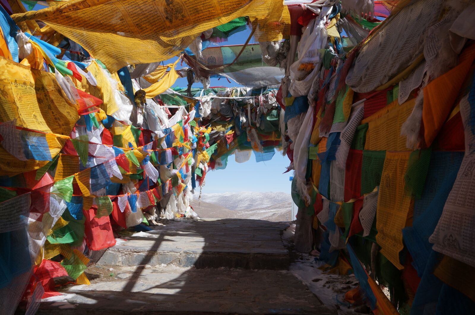 Sony Alpha NEX-5T sample photo. Verses, pilgrim's progress, faith photography