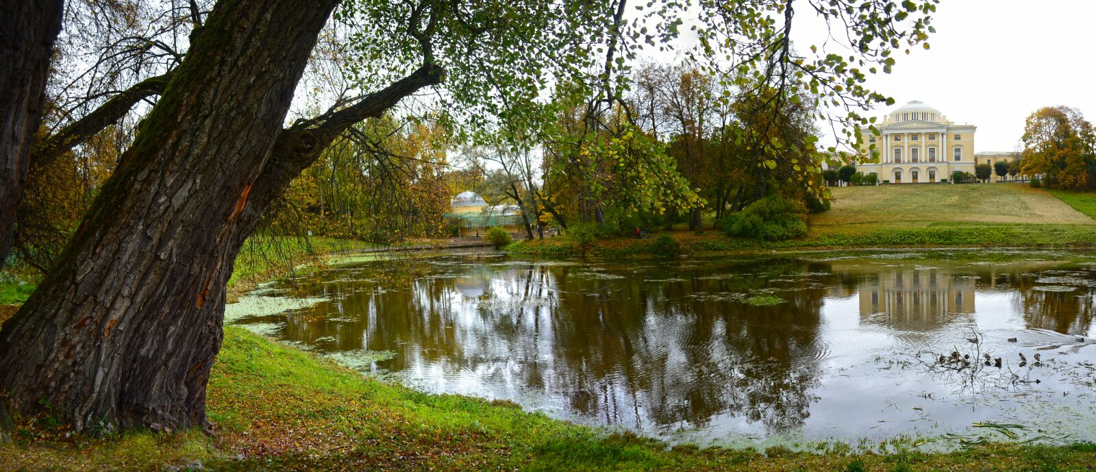 Nikon D5200 sample photo. Park, autumn, pond photography