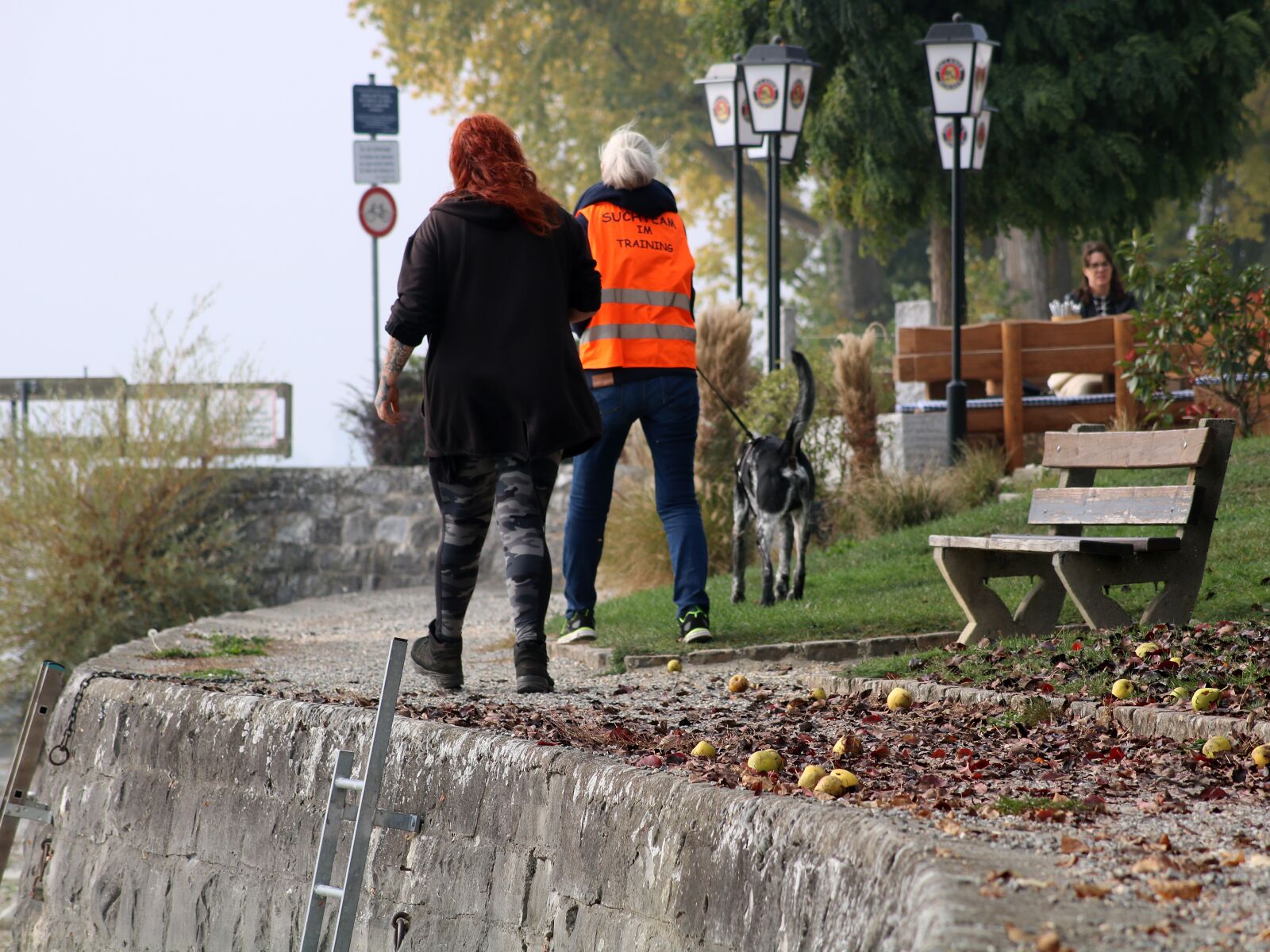 Canon EOS 750D (EOS Rebel T6i / EOS Kiss X8i) sample photo. Dog, training, mantrailing photography