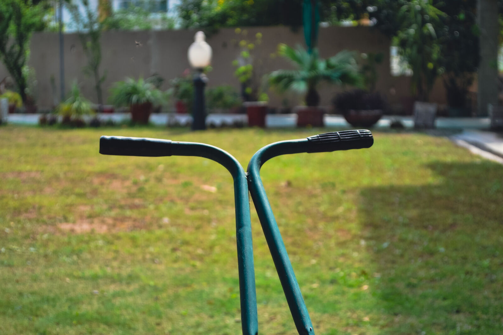 Nikon D3100 sample photo
