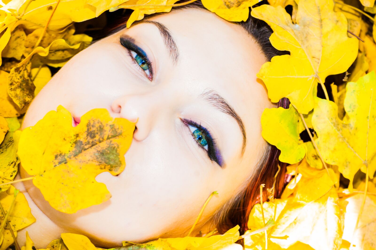 Nikon D40 sample photo. Autumn, face, girl photography