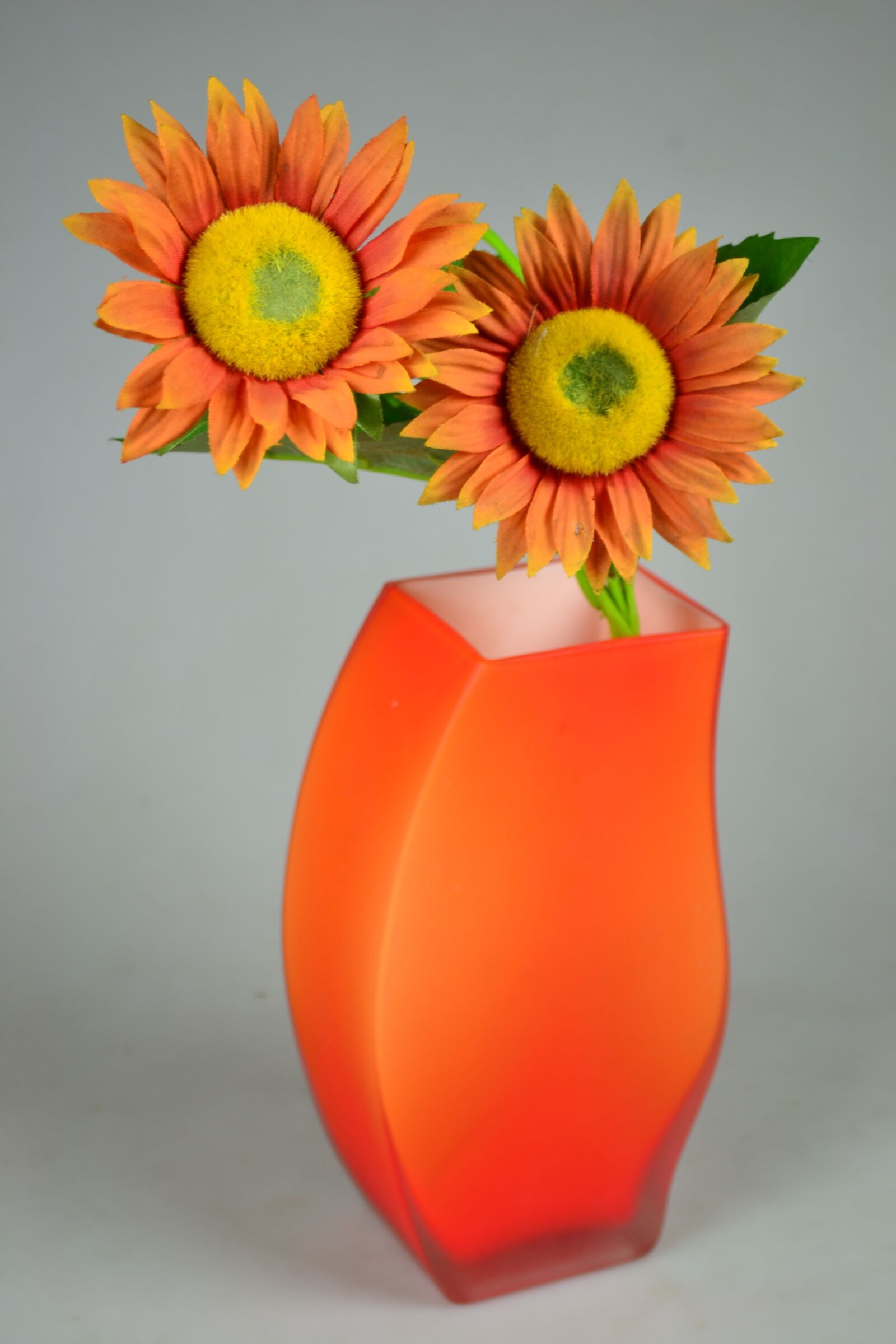 Nikon D3100 sample photo. Sunflower, orange, warm photography